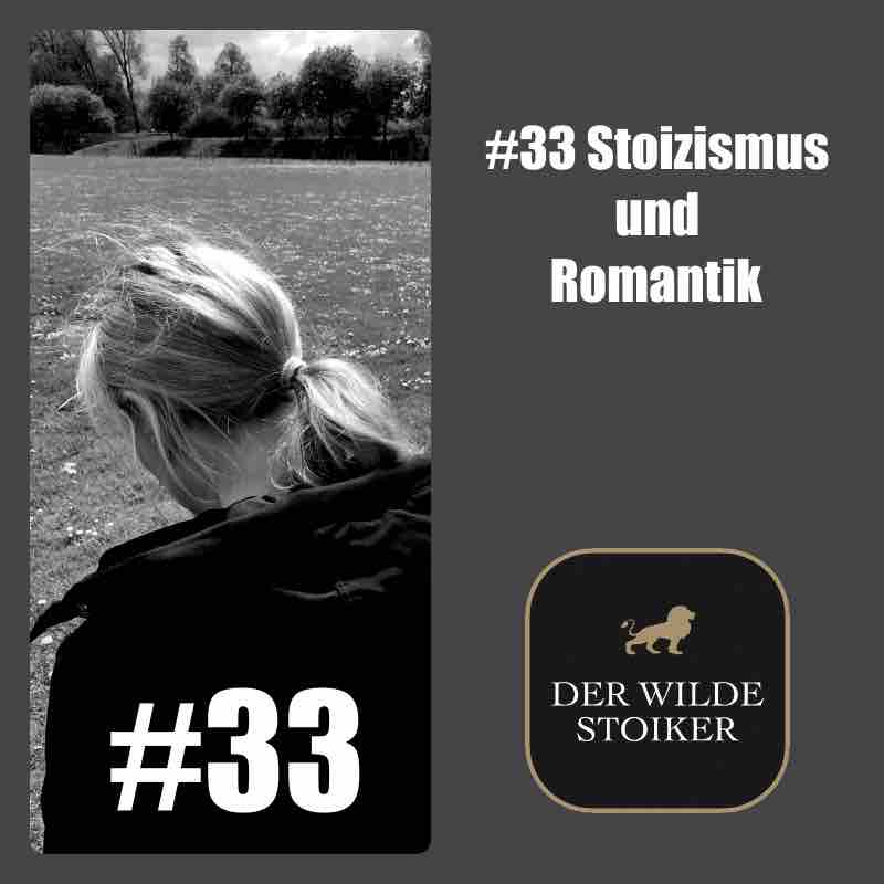DER WILDE STOIKER
