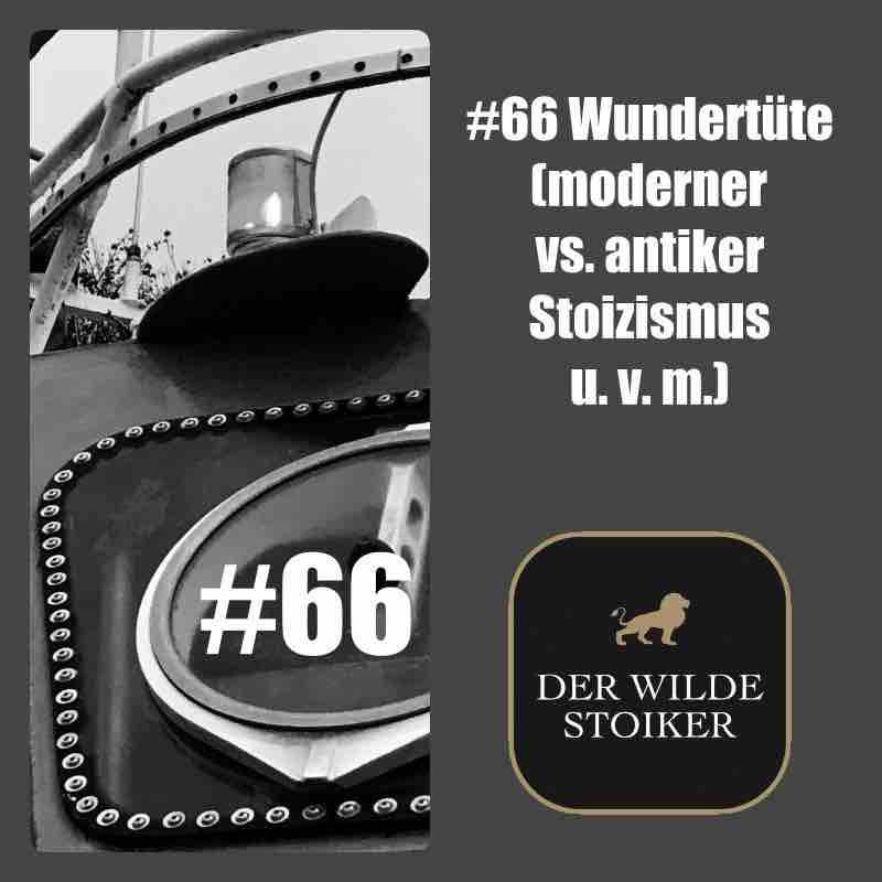 DER WILDE STOIKER