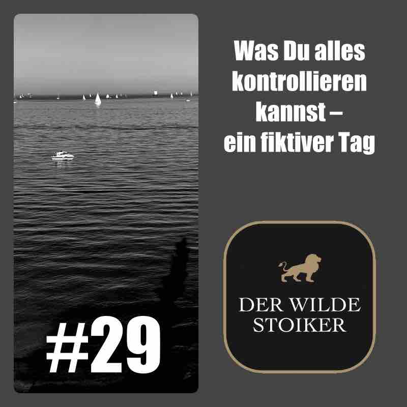 DER WILDE STOIKER