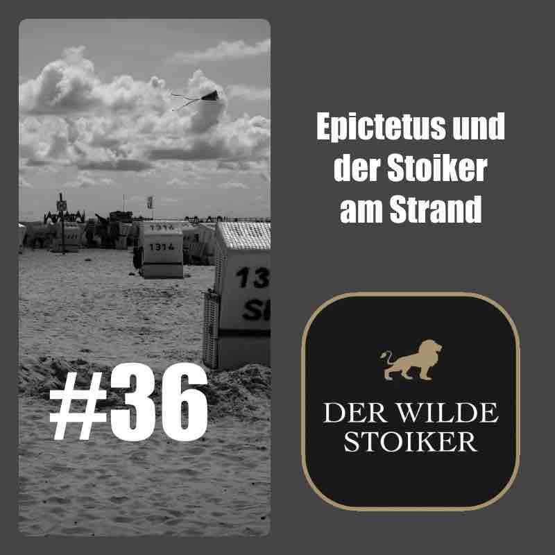 DER WILDE STOIKER