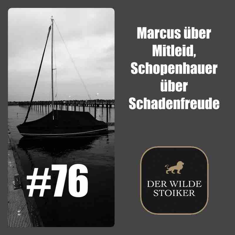 DER WILDE STOIKER