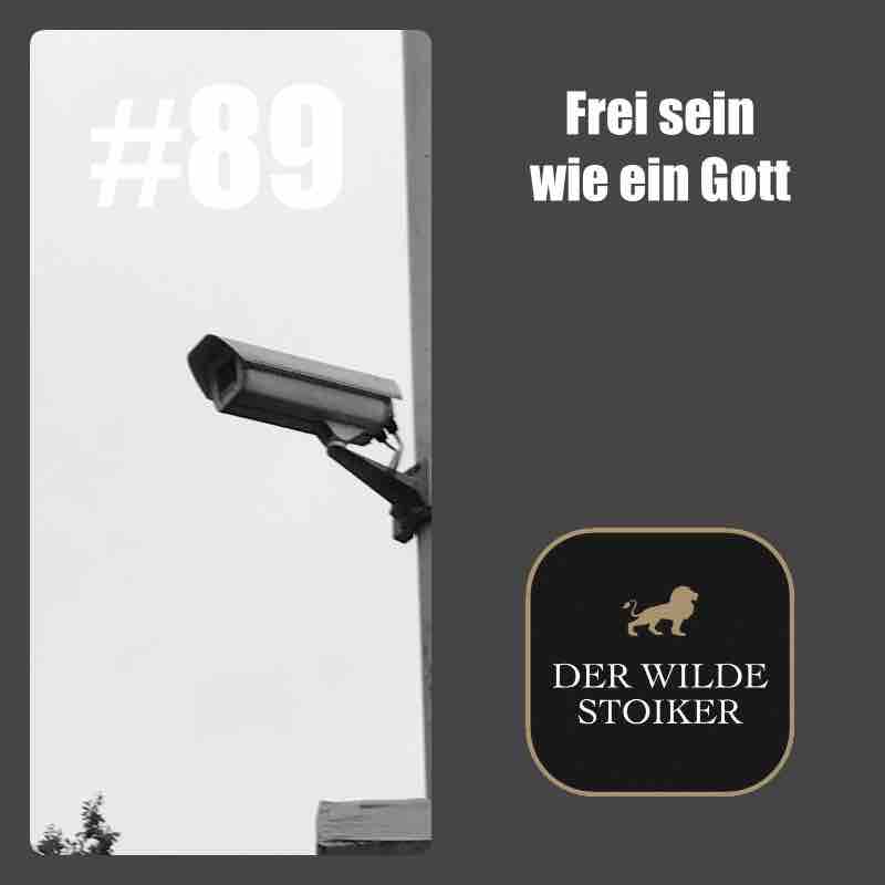 DER WILDE STOIKER
