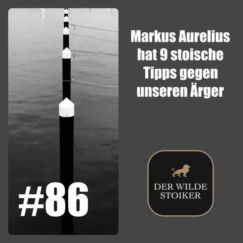 DER WILDE STOIKER