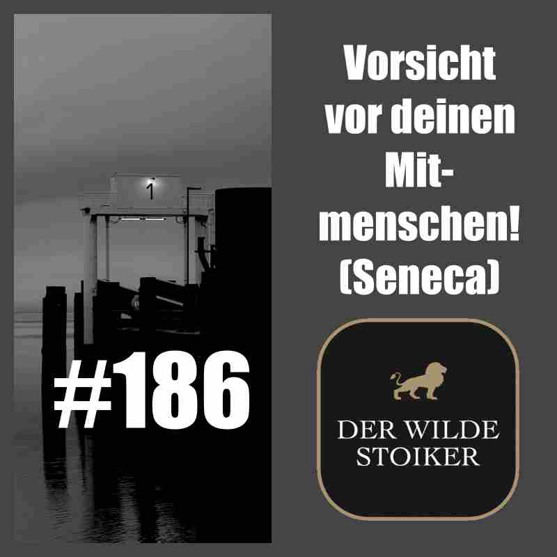 DER WILDE STOIKER