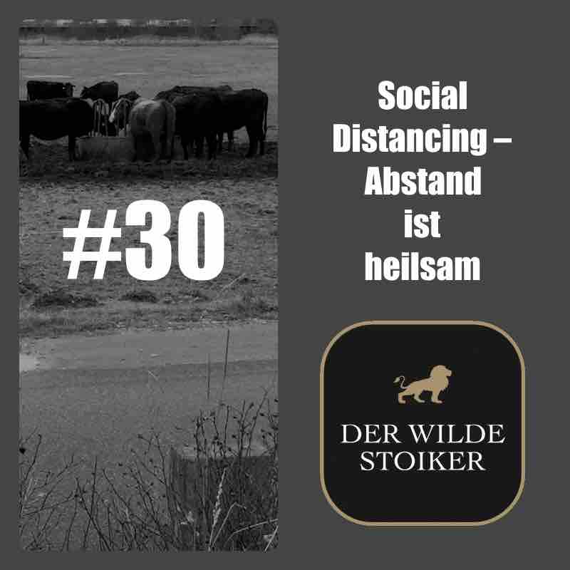 DER WILDE STOIKER