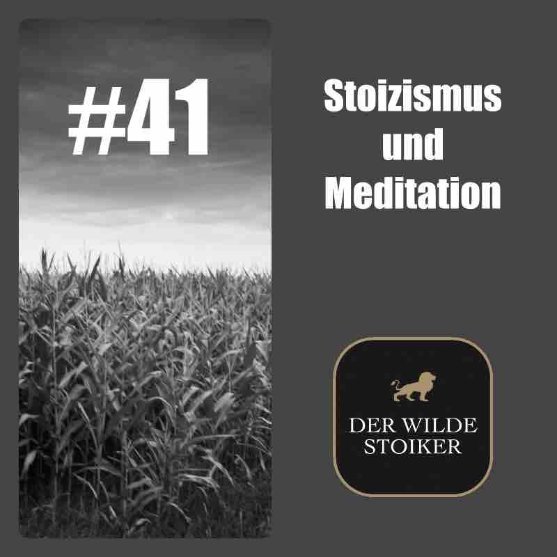 DER WILDE STOIKER