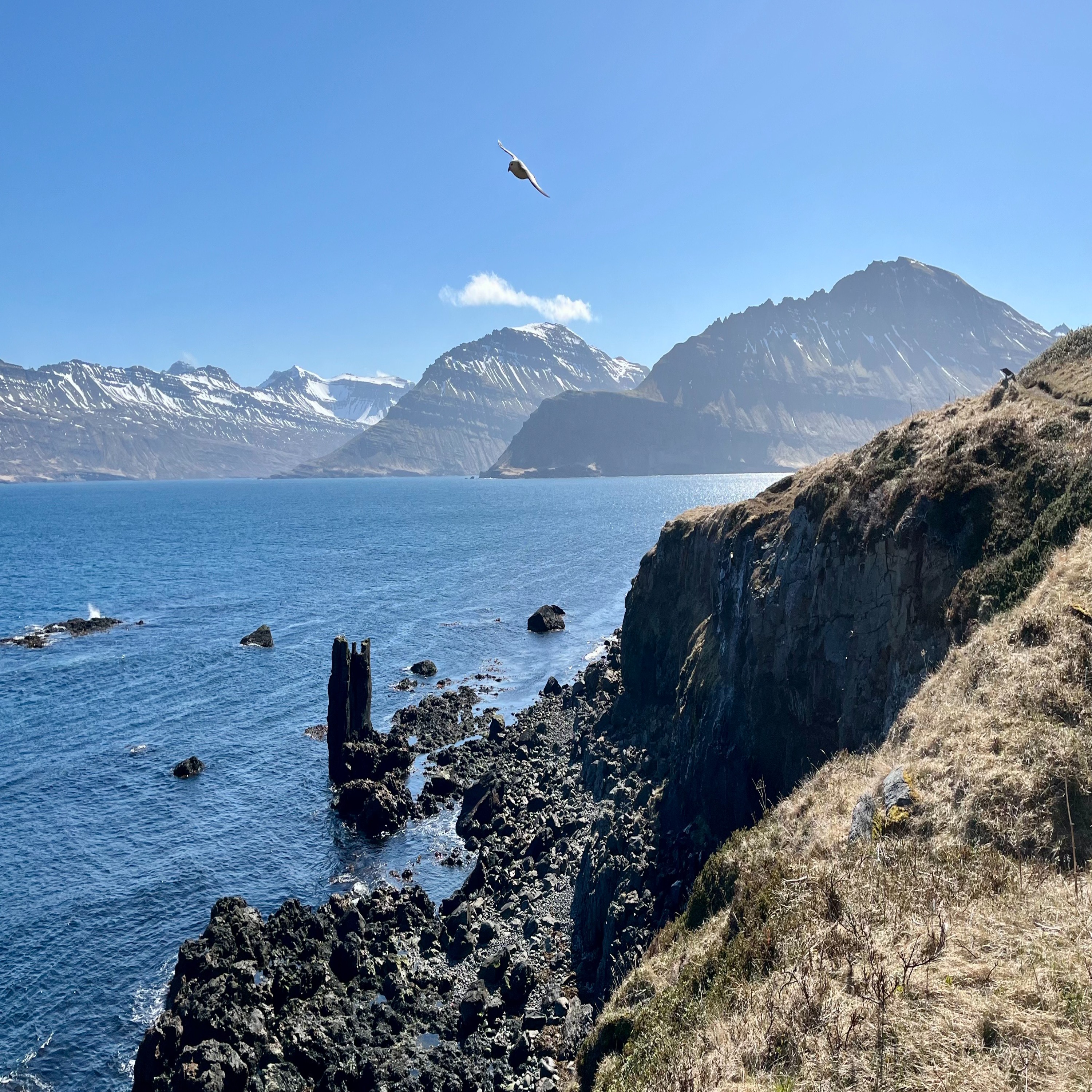 Fólkvangurinn í Neskaupstað