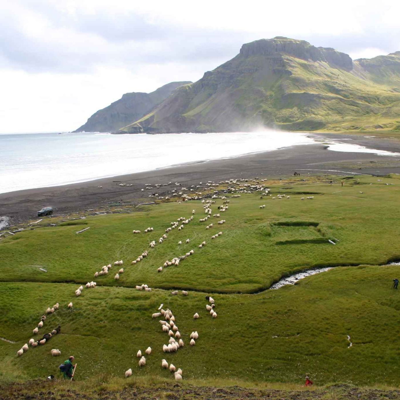 Víkur
