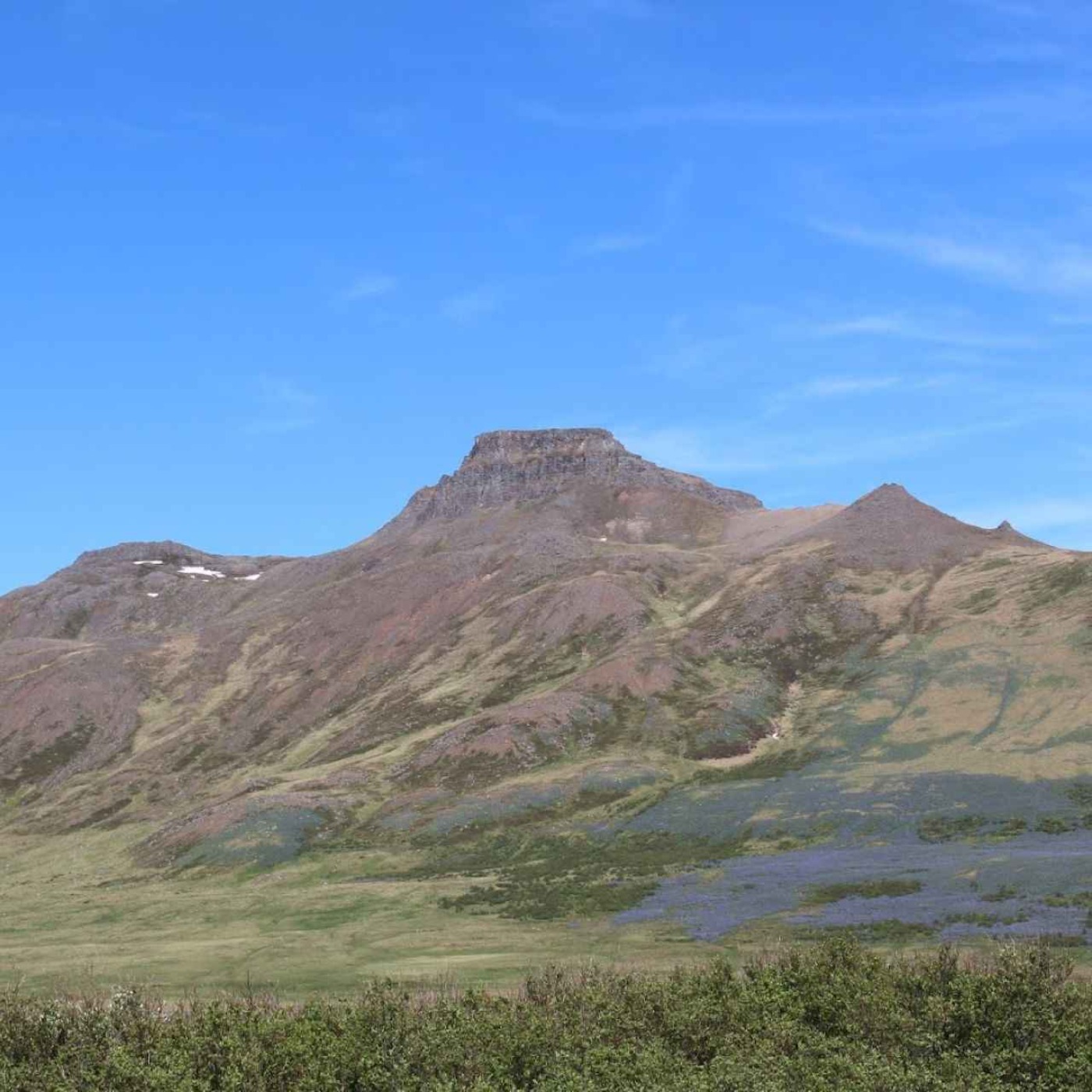 Spákonufell