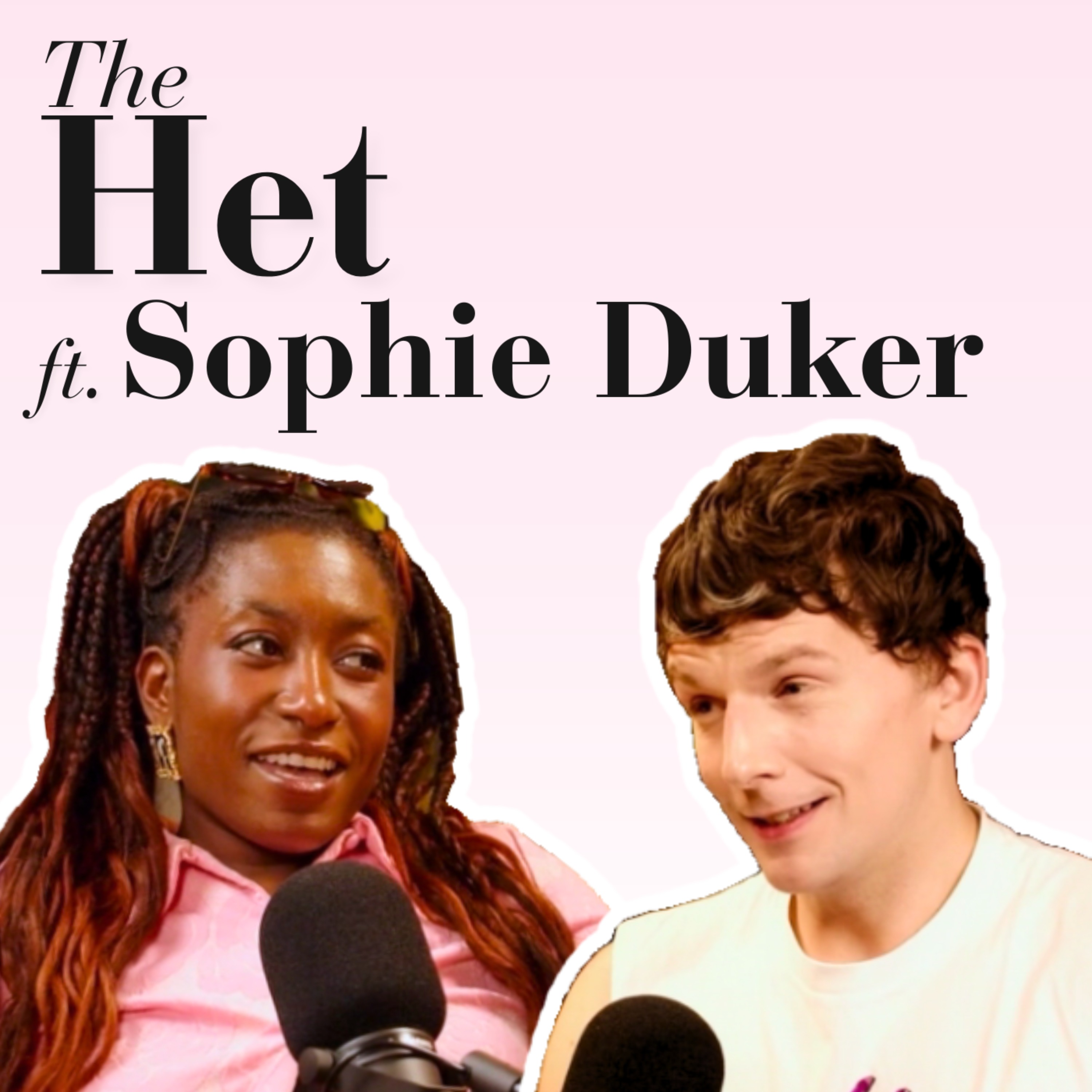 The Het: museum of Straight Culture