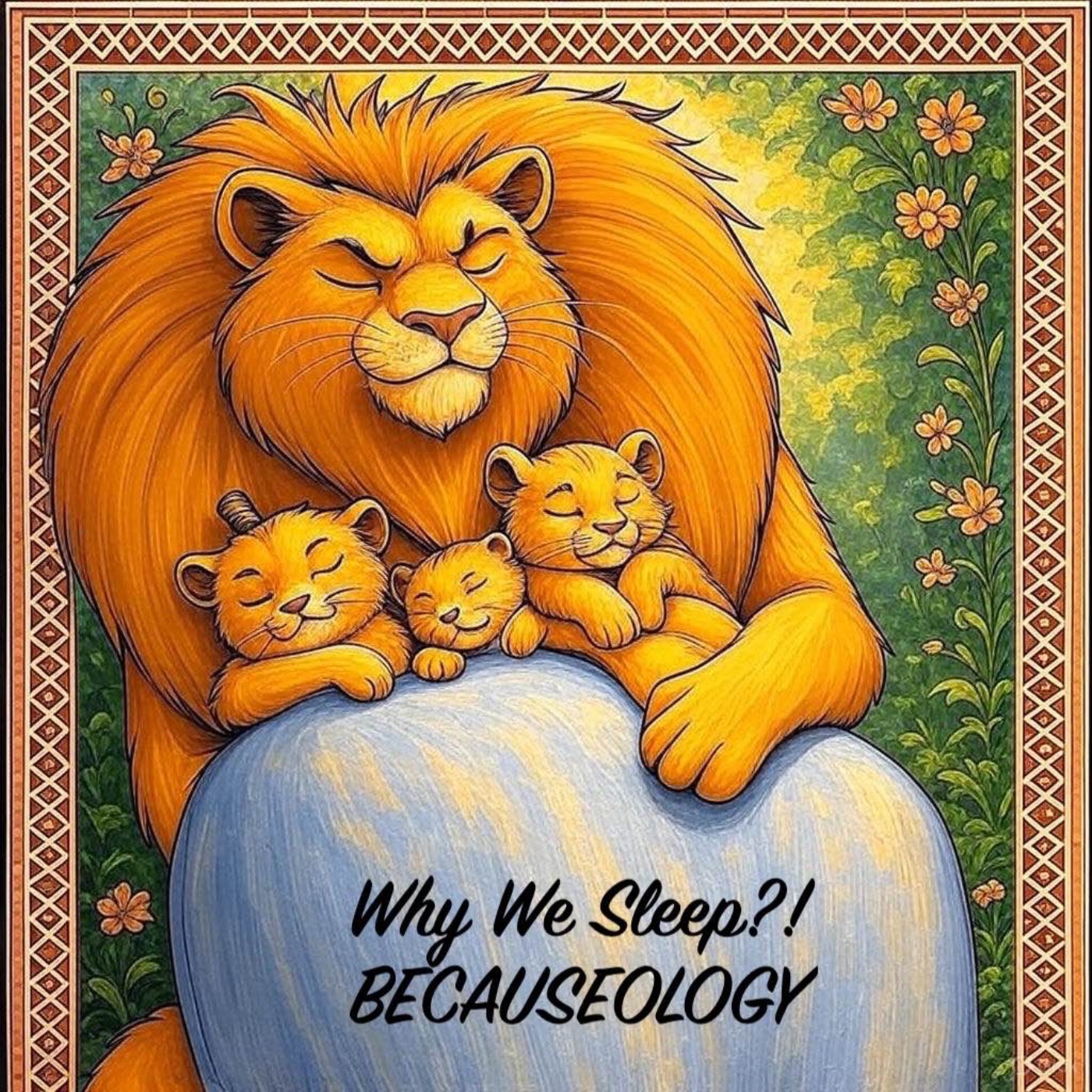 Why We Sleep?! episode artwork