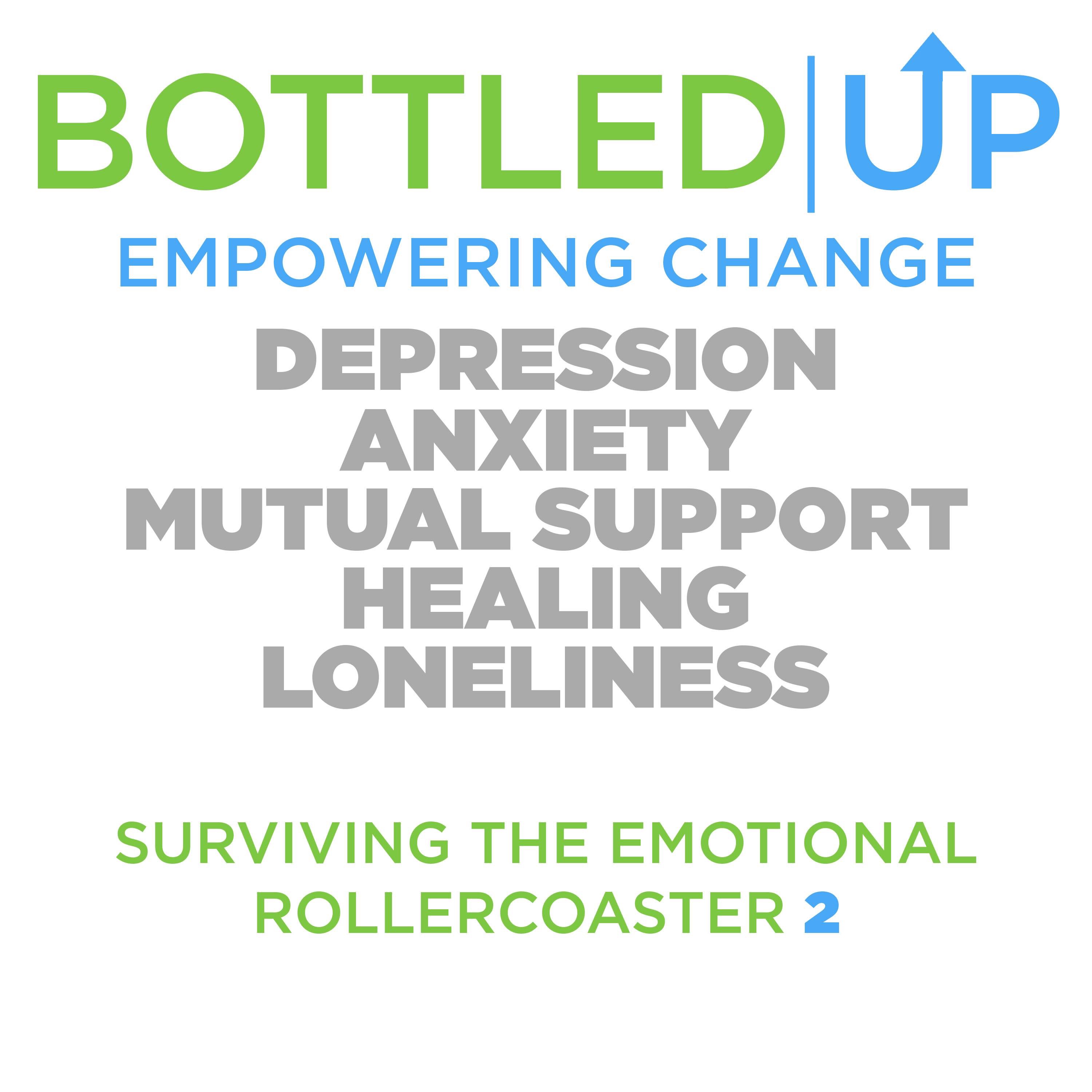 Part 2 - Surviving the emotional rollercoaster
