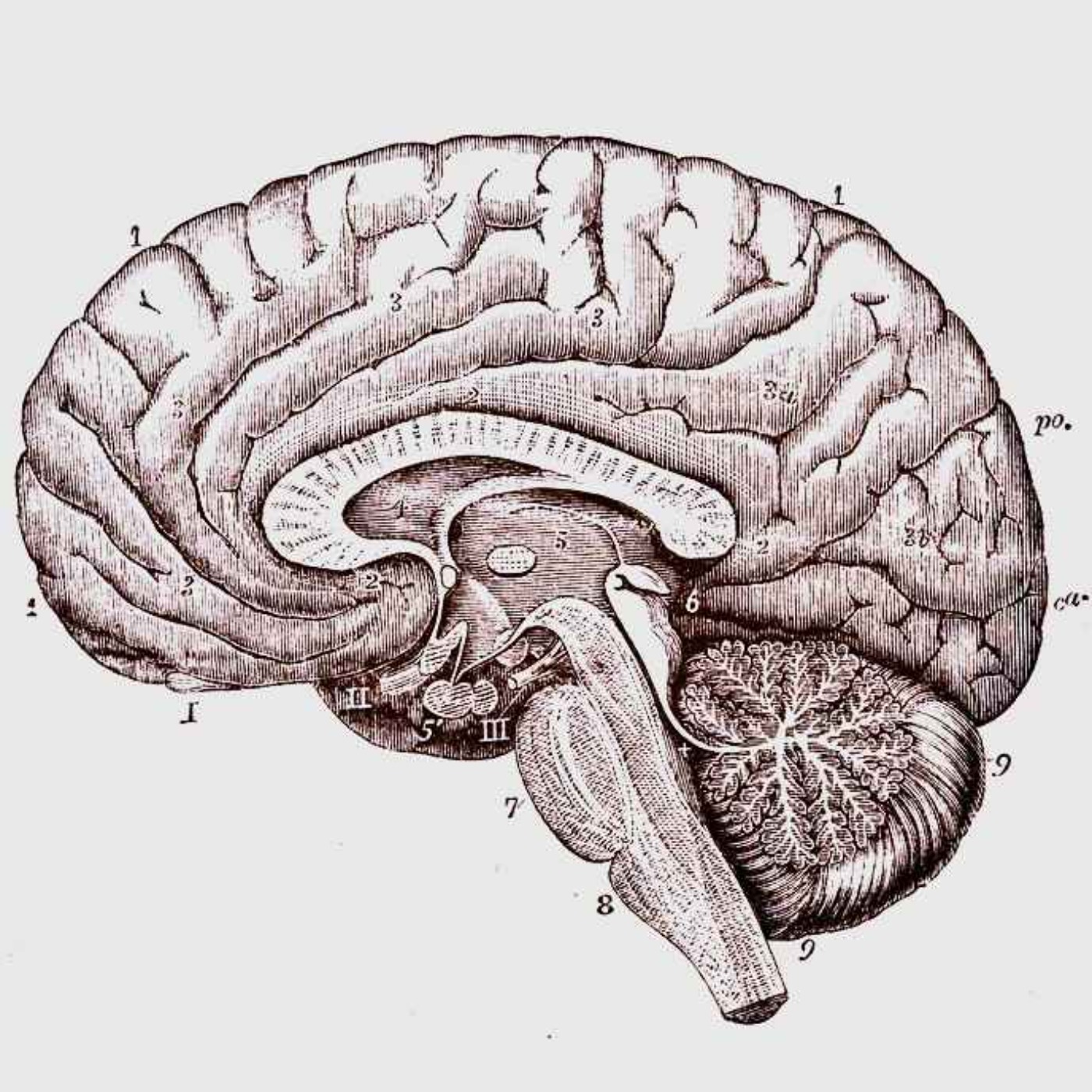 Maiden A-Z strikes again!