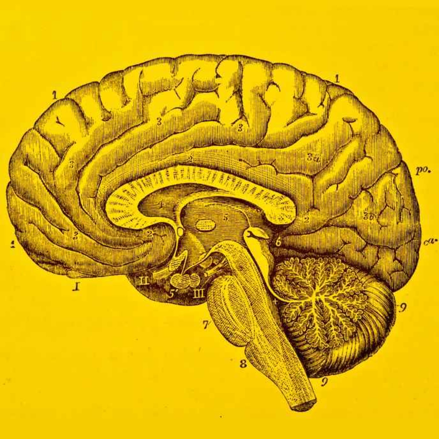 Maiden A-Z strikes again!