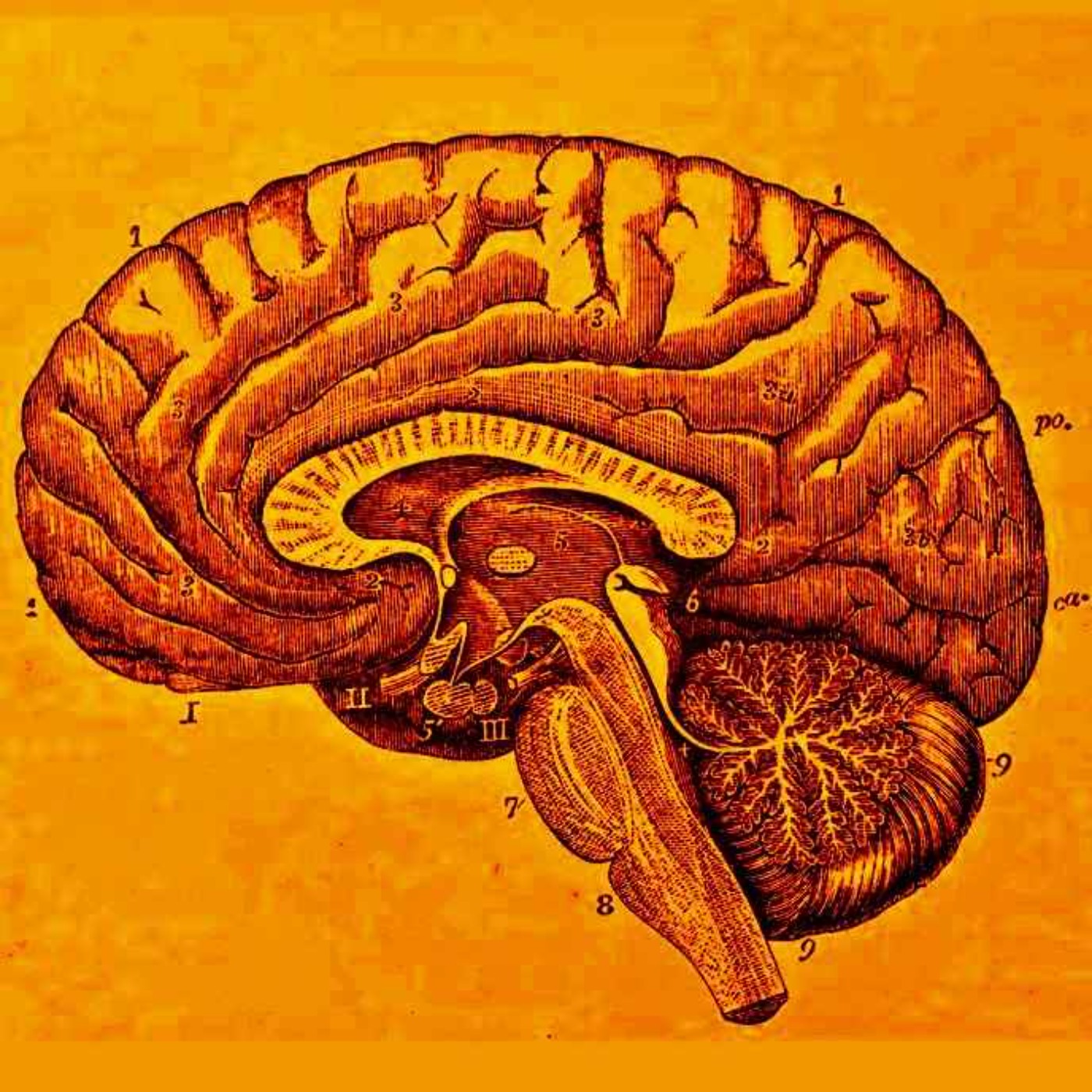 Maiden A-Z strikes again!