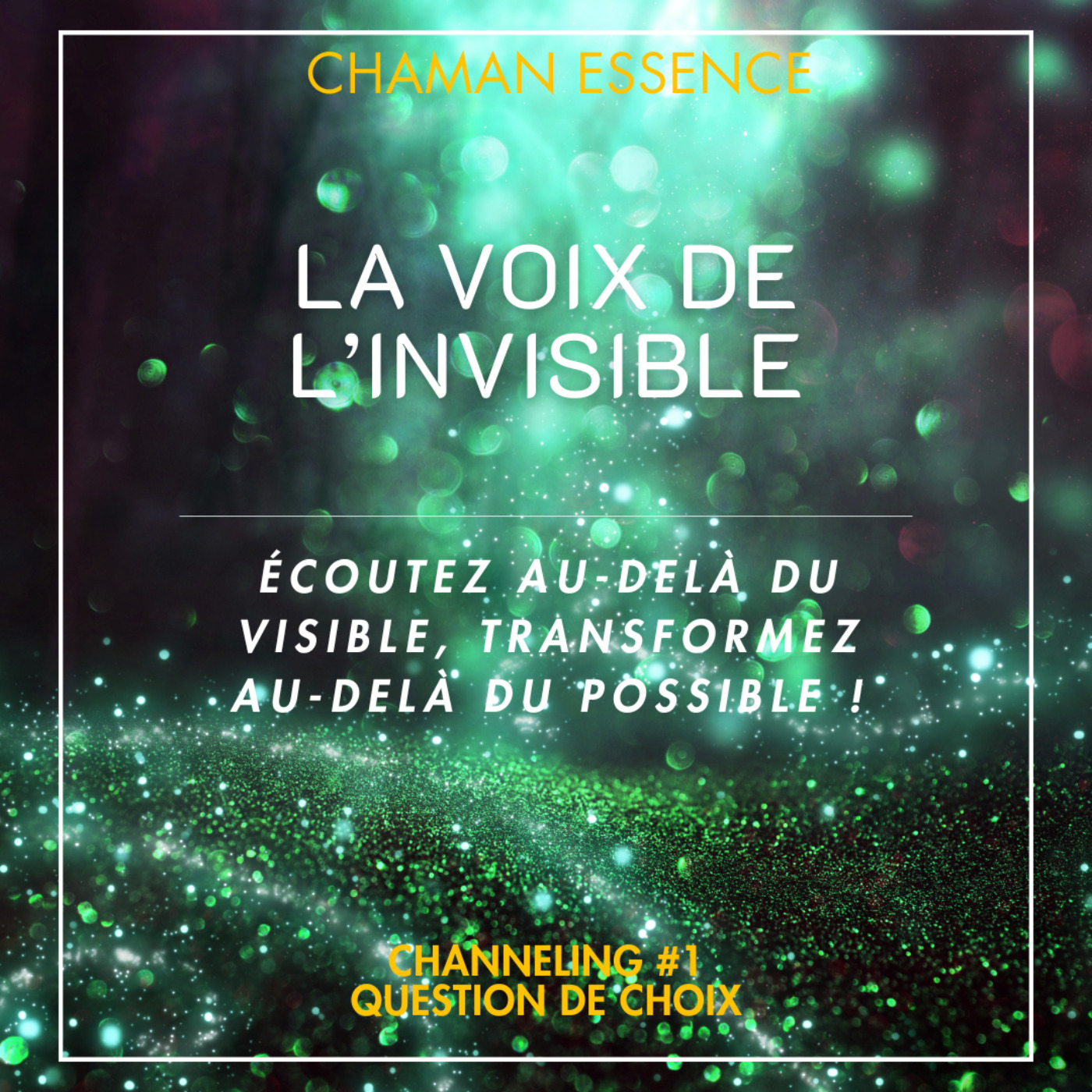 LA VOIE DE L'INVISIBLE #1 episode artwork