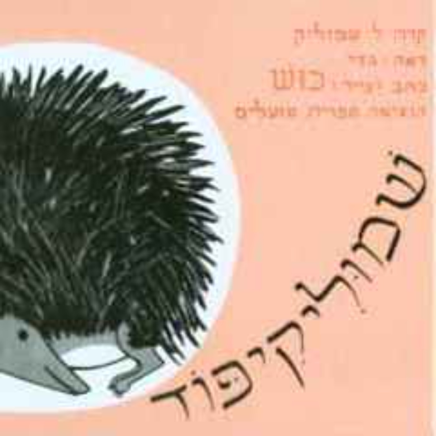 שמוליקיפוד שמוליקיפוד