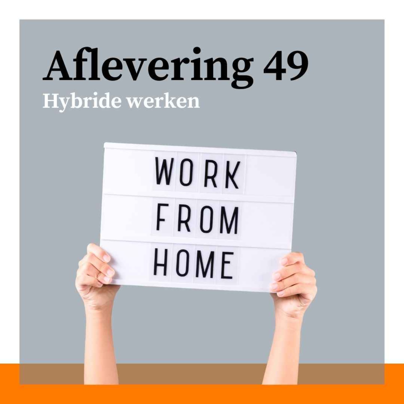 #49 - Hybride werken: vrijheid, gelijkheid en beleid met Wieteke Conen
