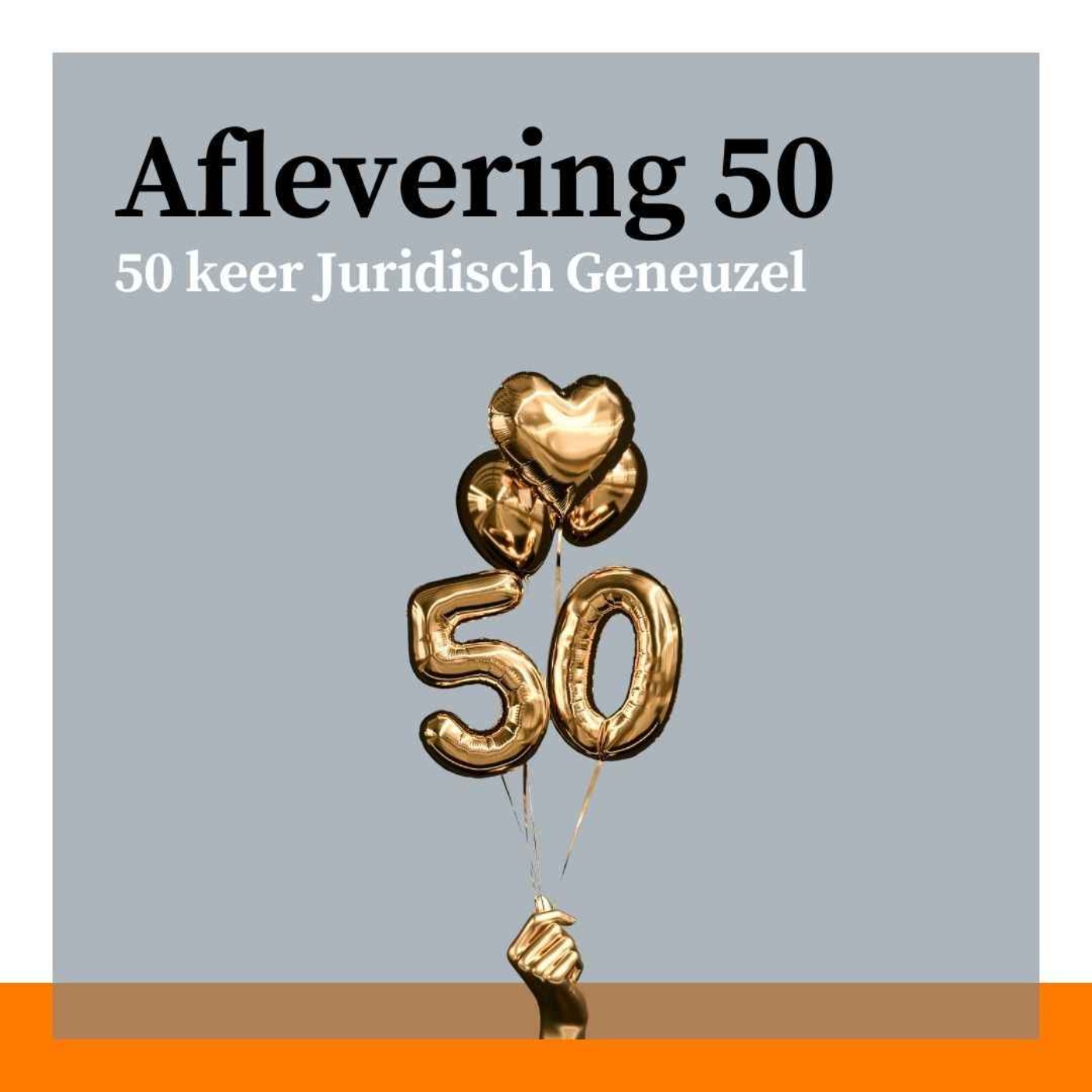 #50 - 50 keer Juridisch Geneuzel: vakantie, kwalificatie en coalitie