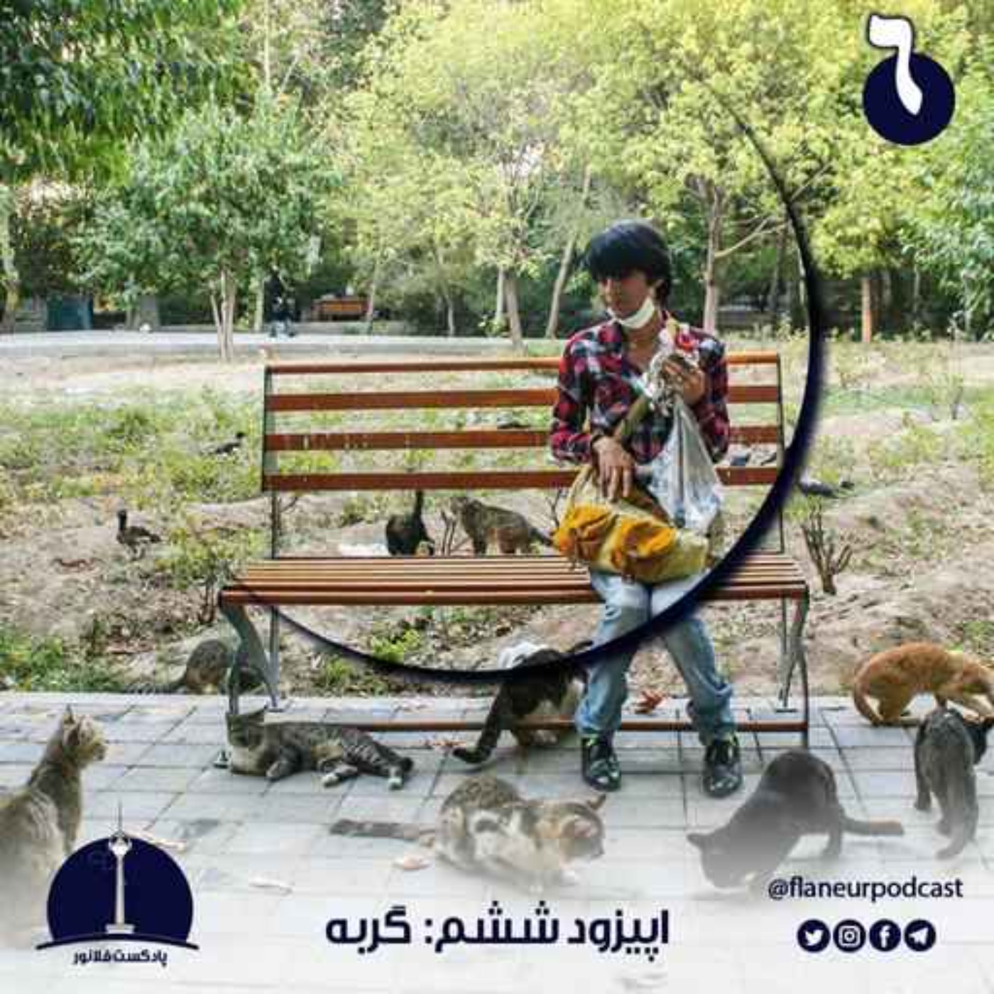 اپیزود ششم – گربه