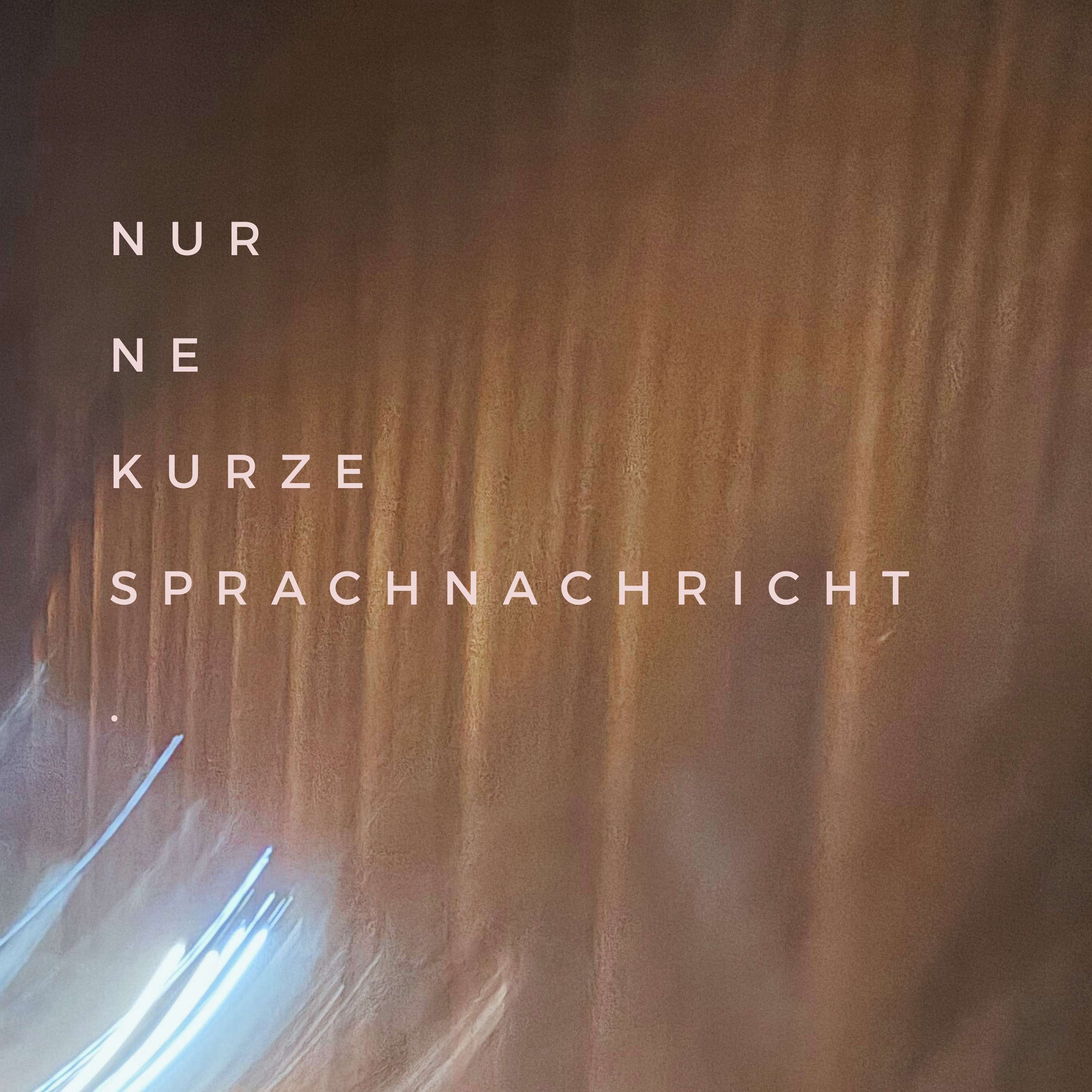 nur ne kurze sprachnachricht.