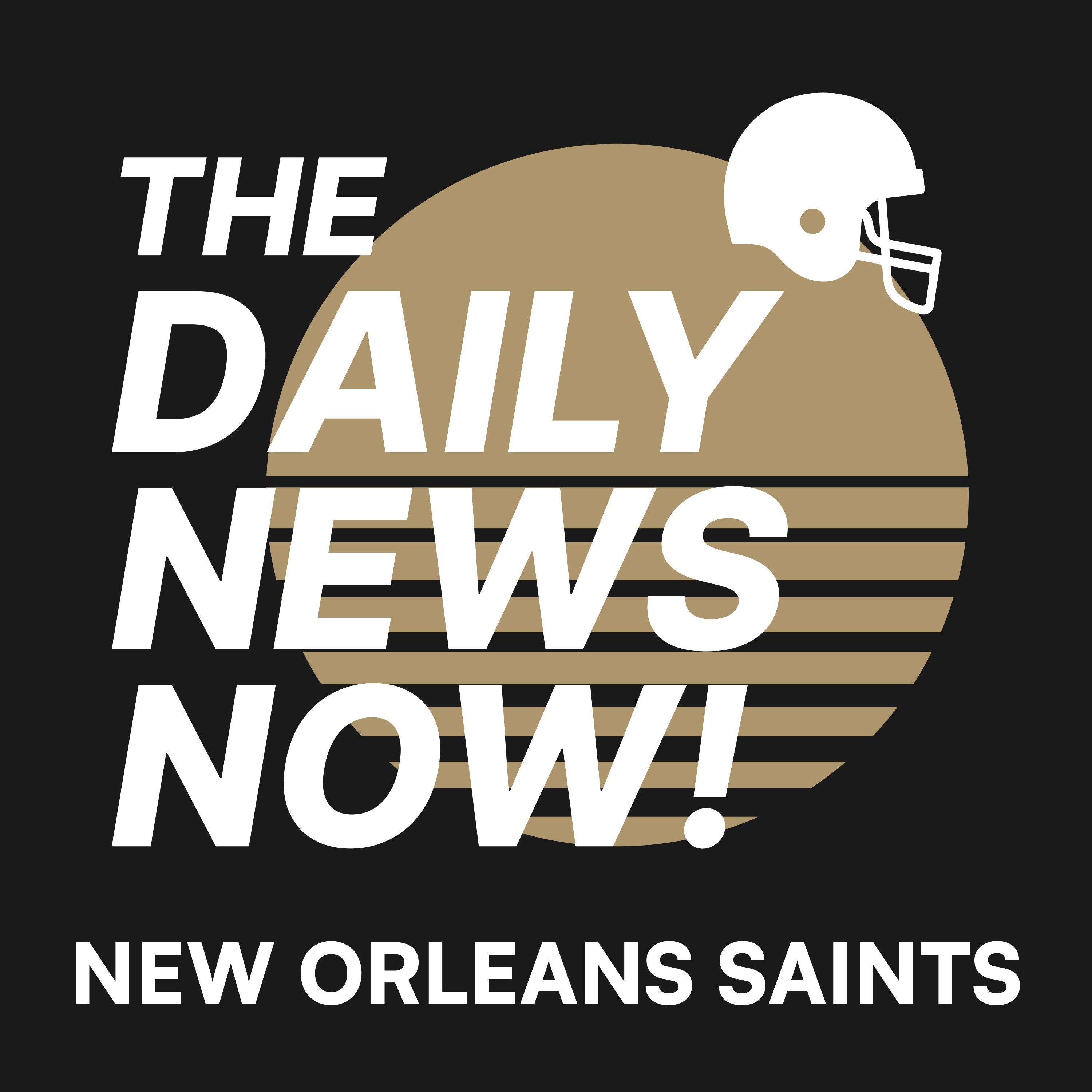 New Orleans Saints | The Daily News Now!