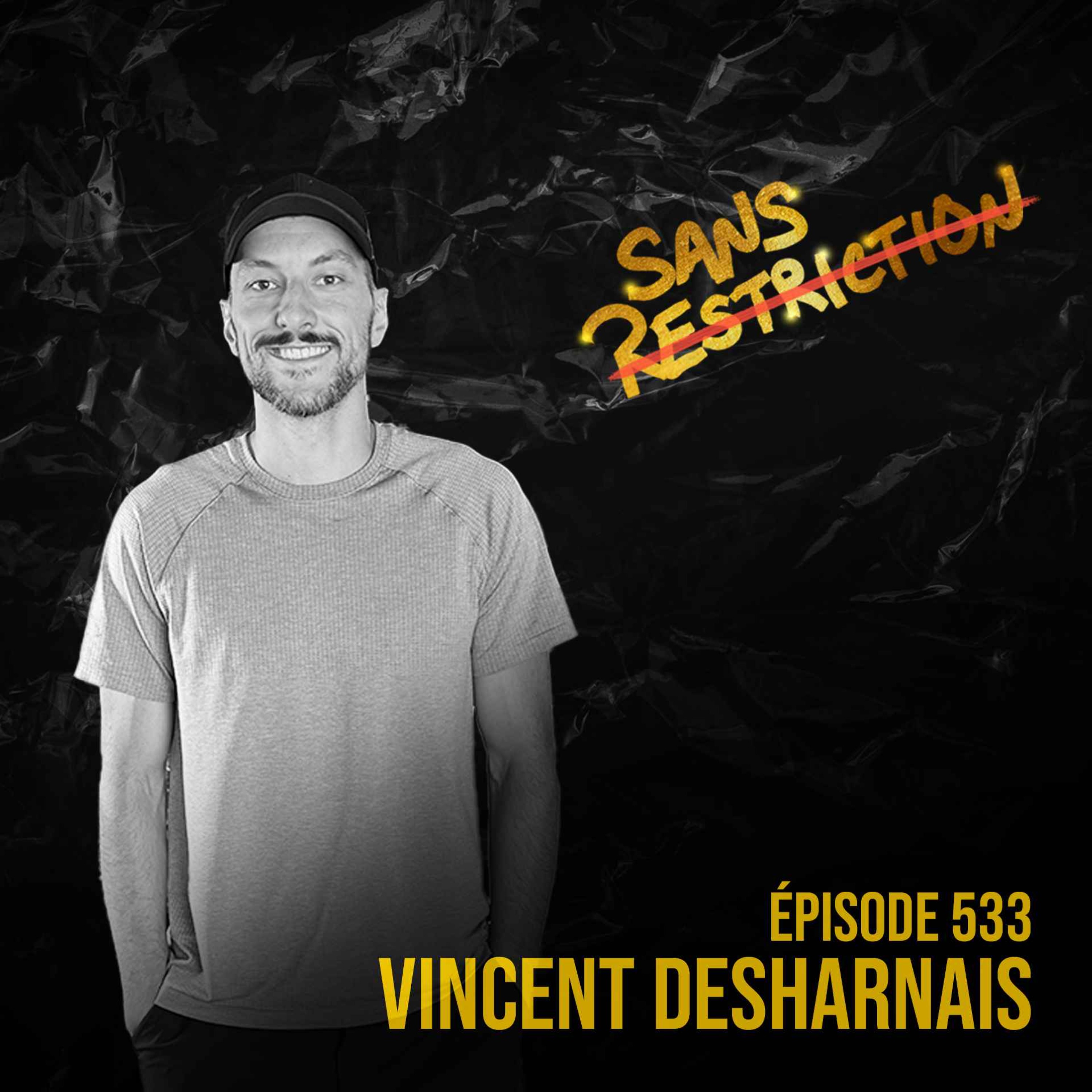 533. Vincent Desharnais | Capitals de Washington | Sans Restriction