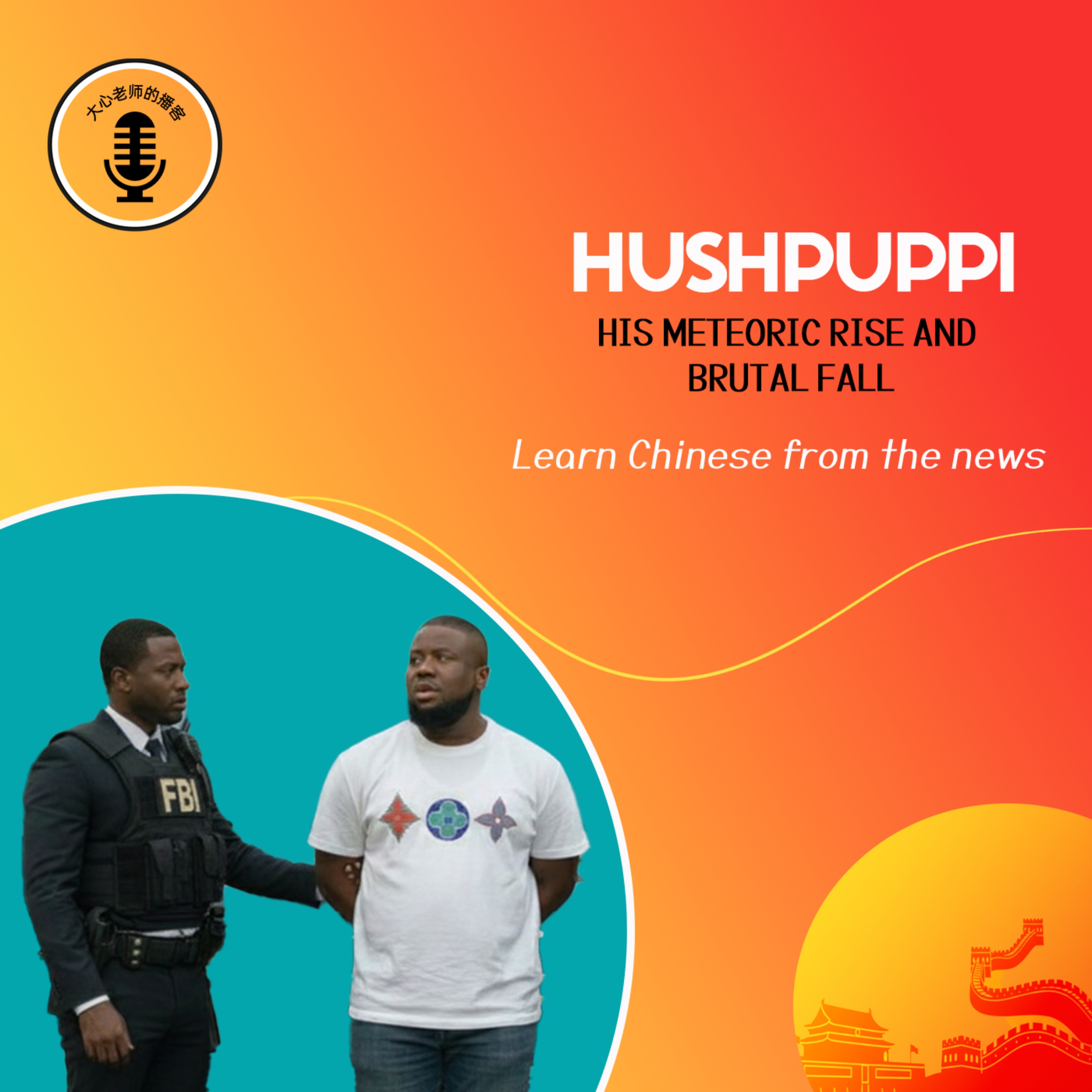HUSHPUPPI: His Meteoric Rise and Brutal Fall episode artwork