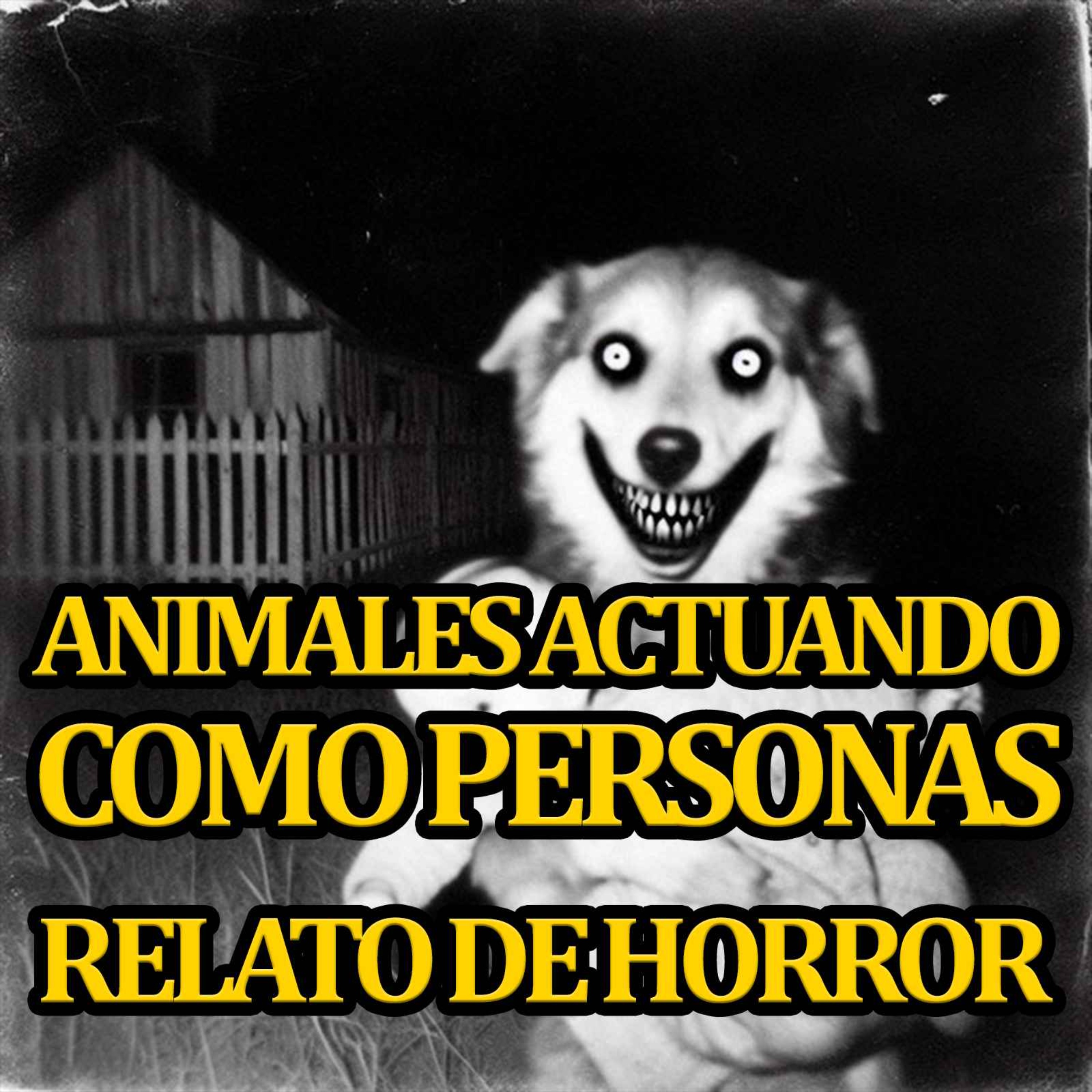 Relatos de animales actuando como personas episode artwork