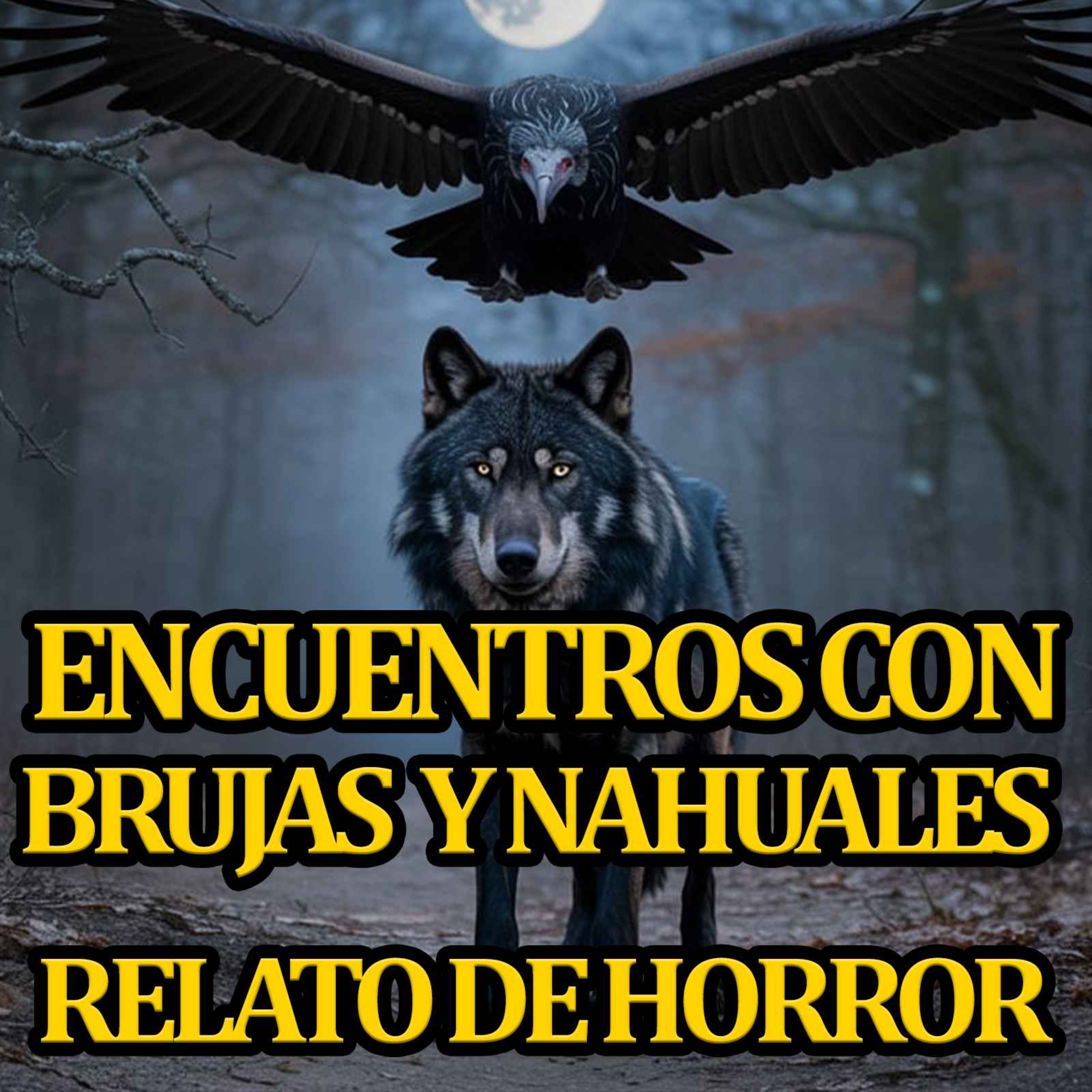 Encuentros con brujas y nahuales episode artwork