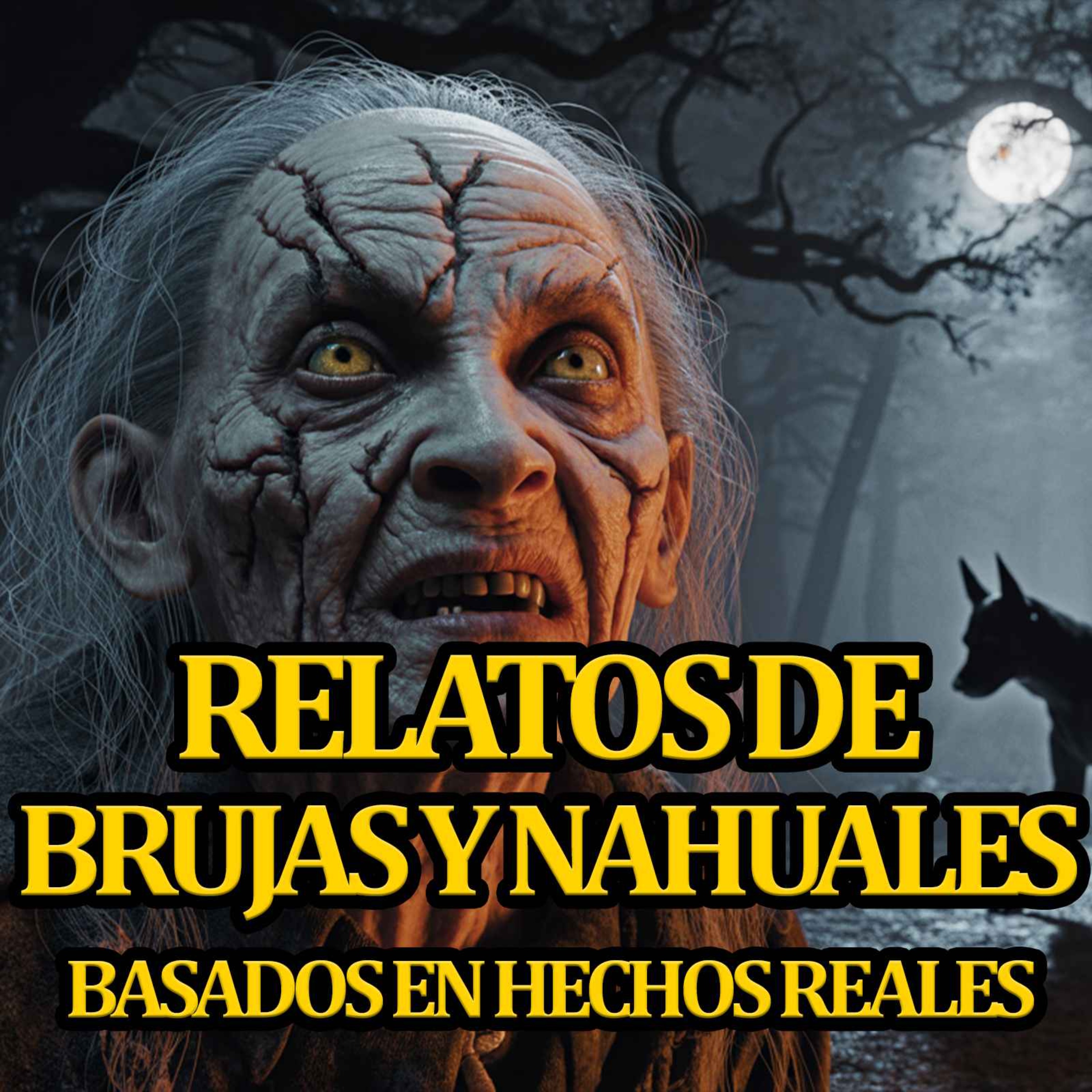 PUROS RELATOS DE BRUJAS Y NAHUALES VOL. 2 historias de nahuales historias de brujas episode artwork