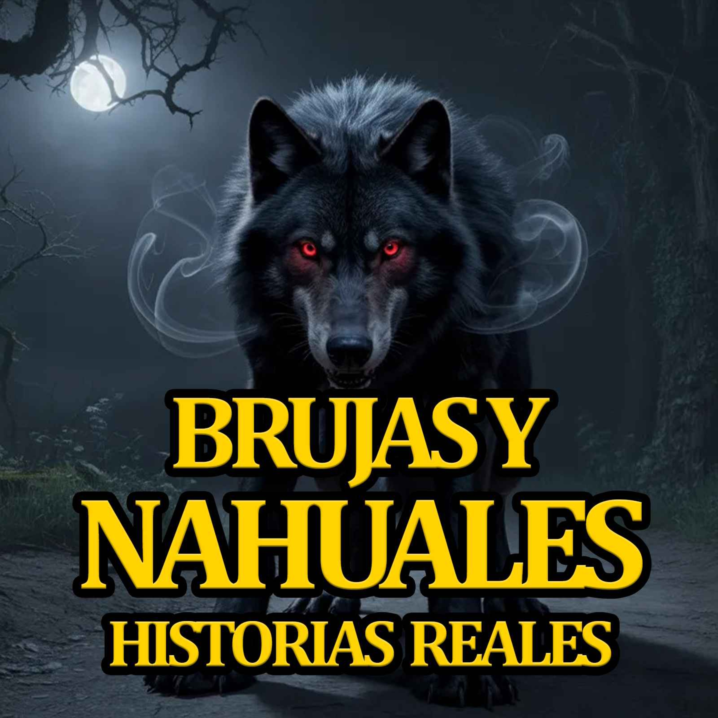 5 RELATOS DE BRUJAS Y NAHUALES - MARATON DE TERROR episode artwork