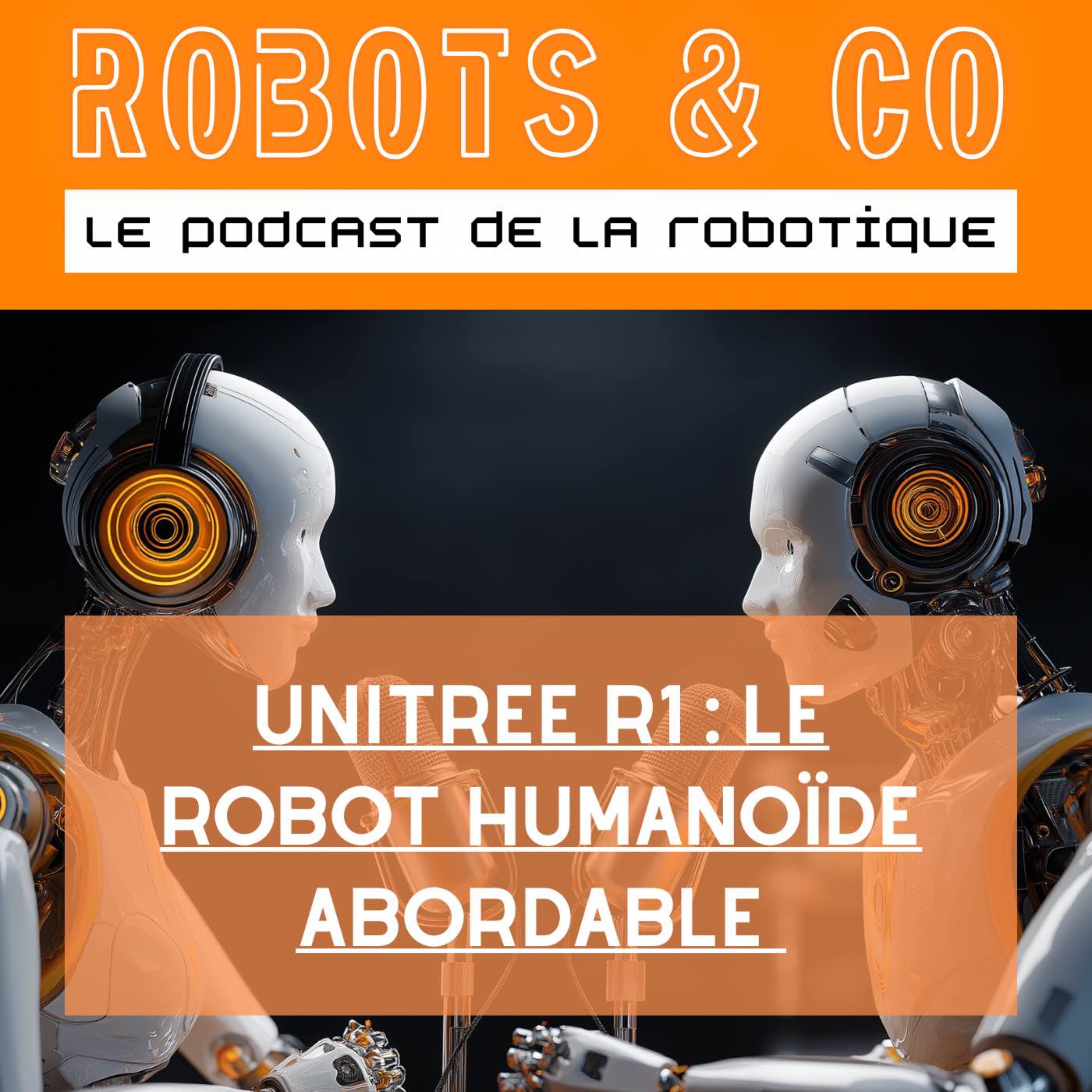 Unitree R1 : le 1er robot humanoïde abordable