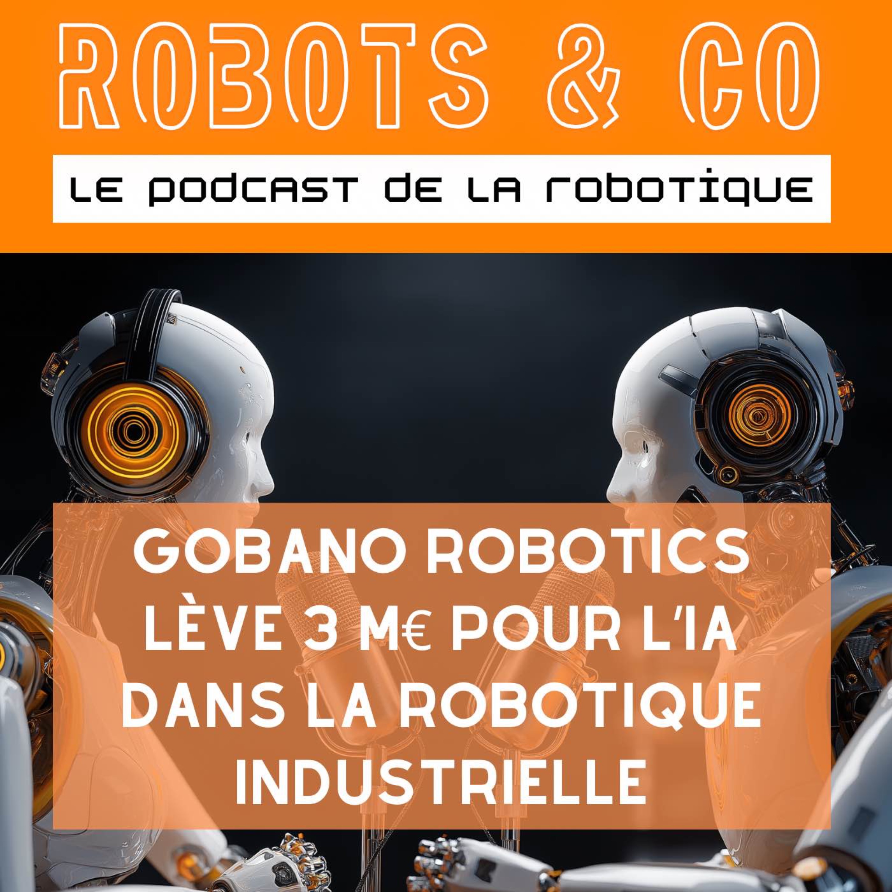 Gobano Robotics lève 3 M€ pour l’IA dans la robotique industrielle episode artwork