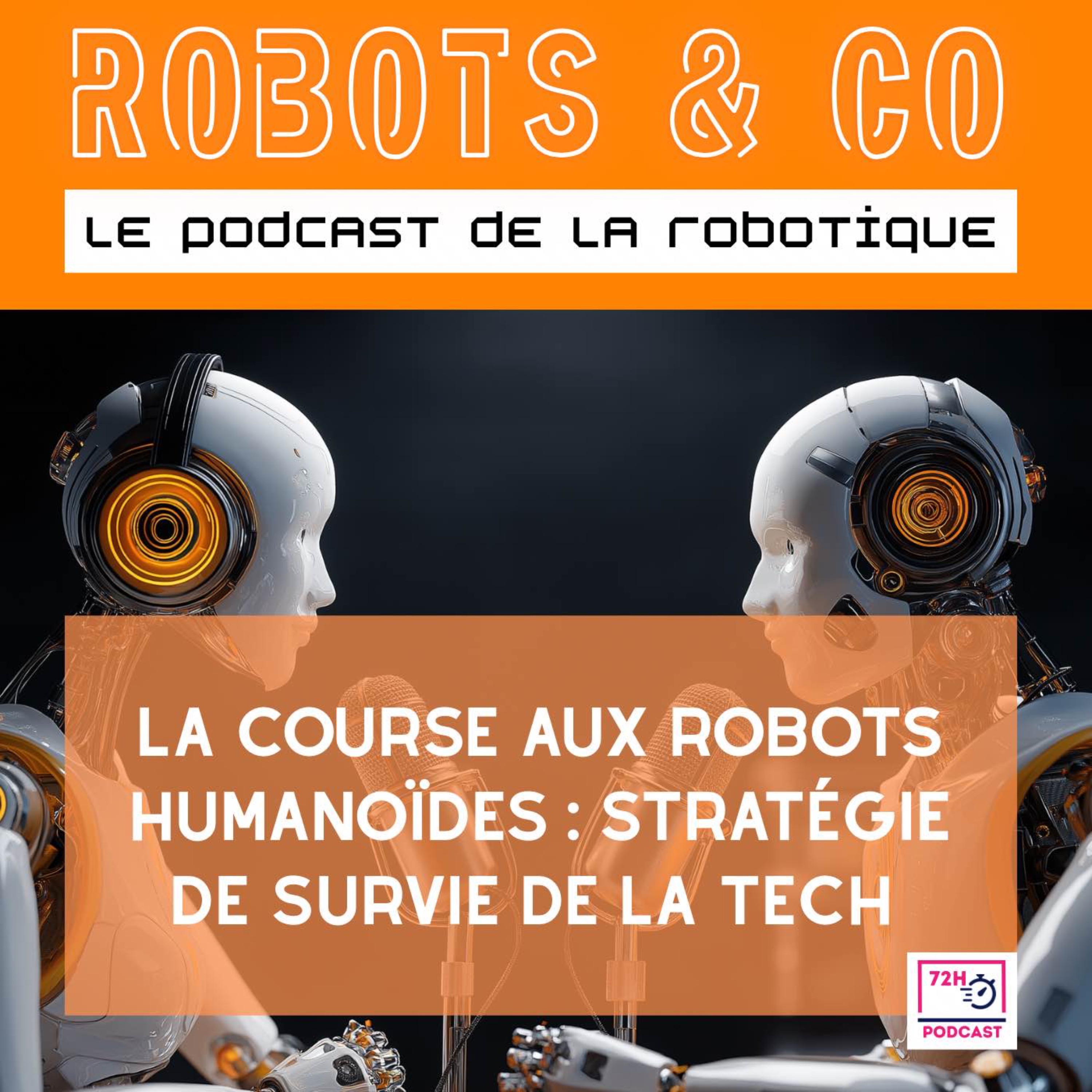 La course aux robots humanoïdes : stratégie de survie de la tech episode artwork