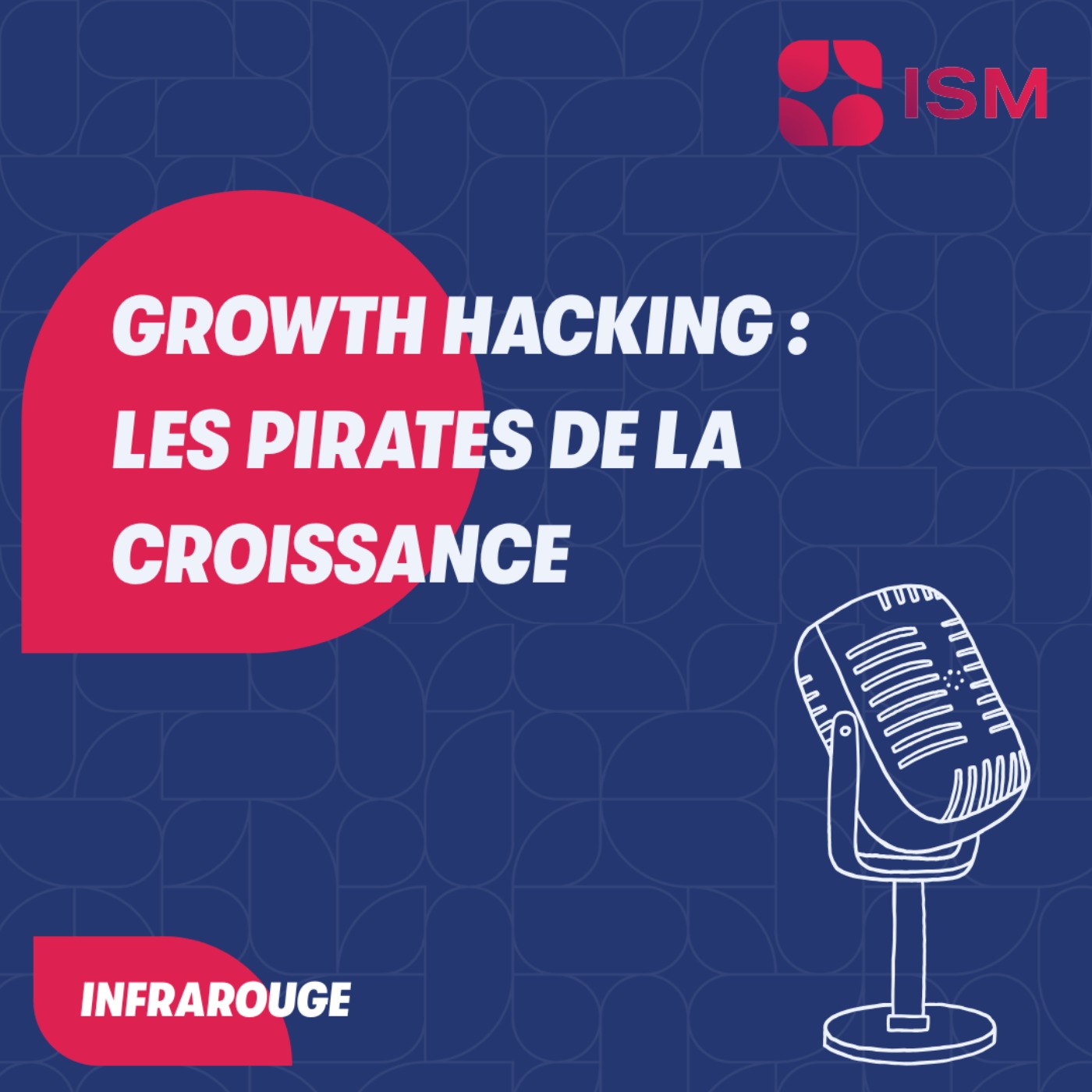 #3 - Le Growth Hacking : les pirates de la croissance
