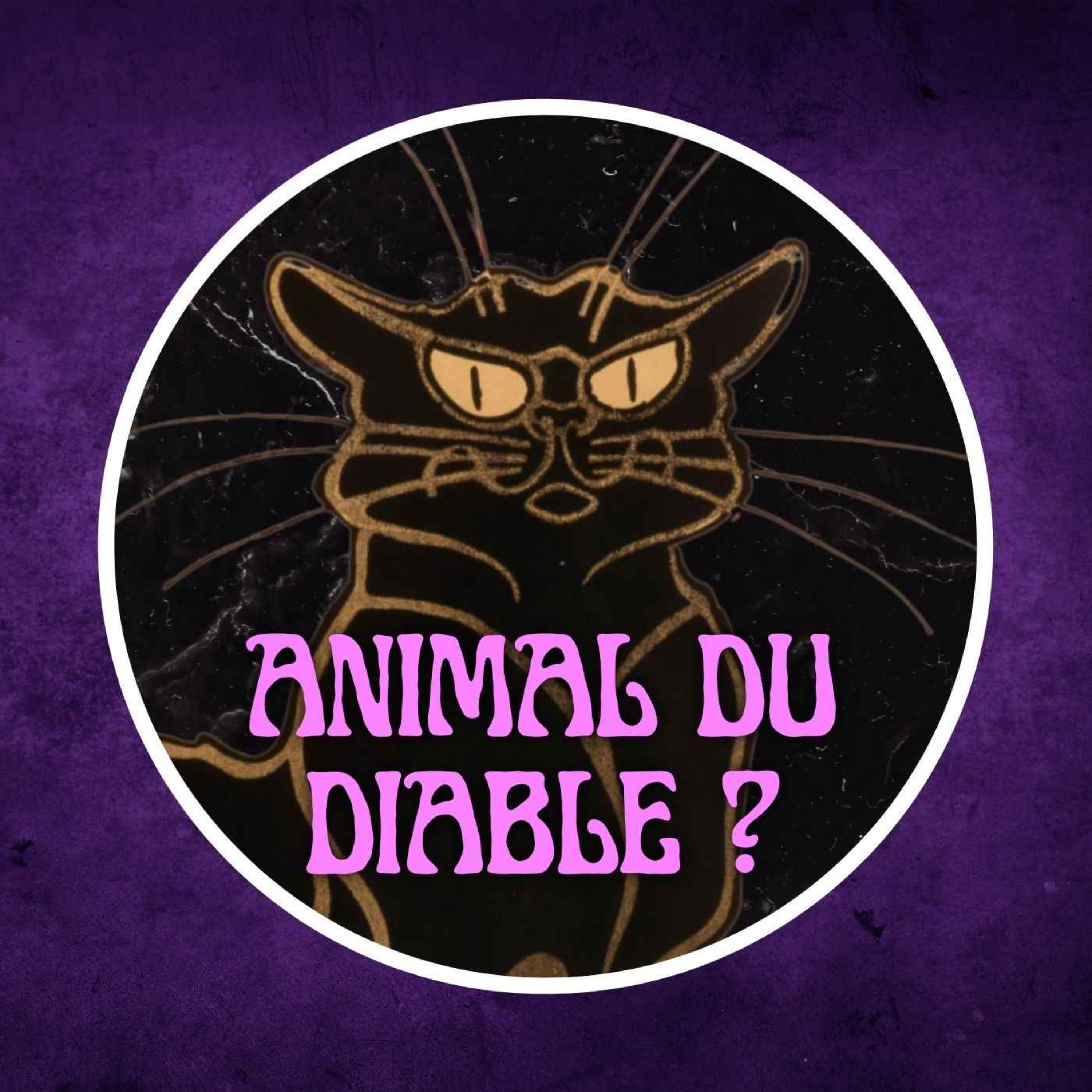 Le chat noir, créature démoniaque ? 🐈‍⬛