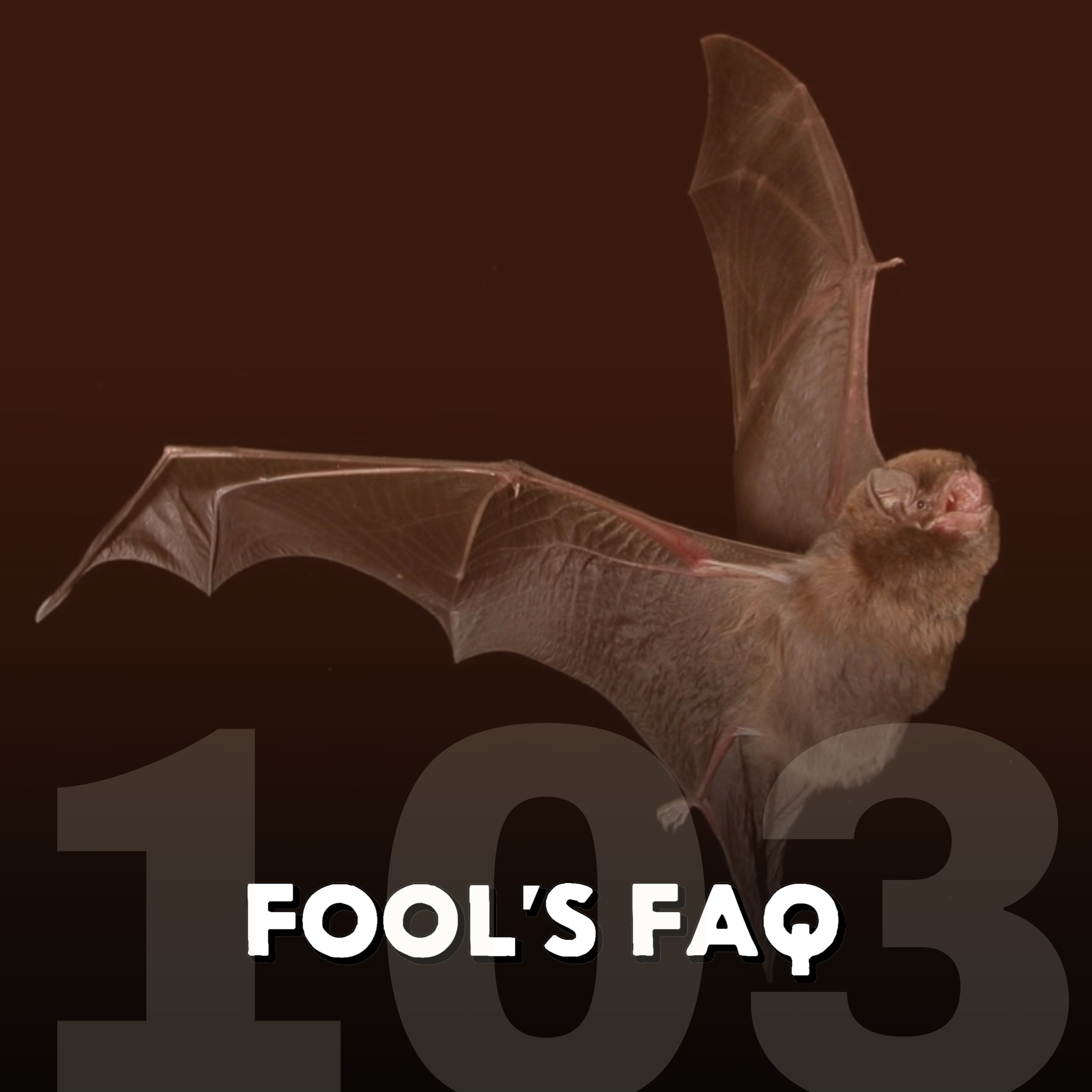 Are Bats Actually Blind? episode artwork