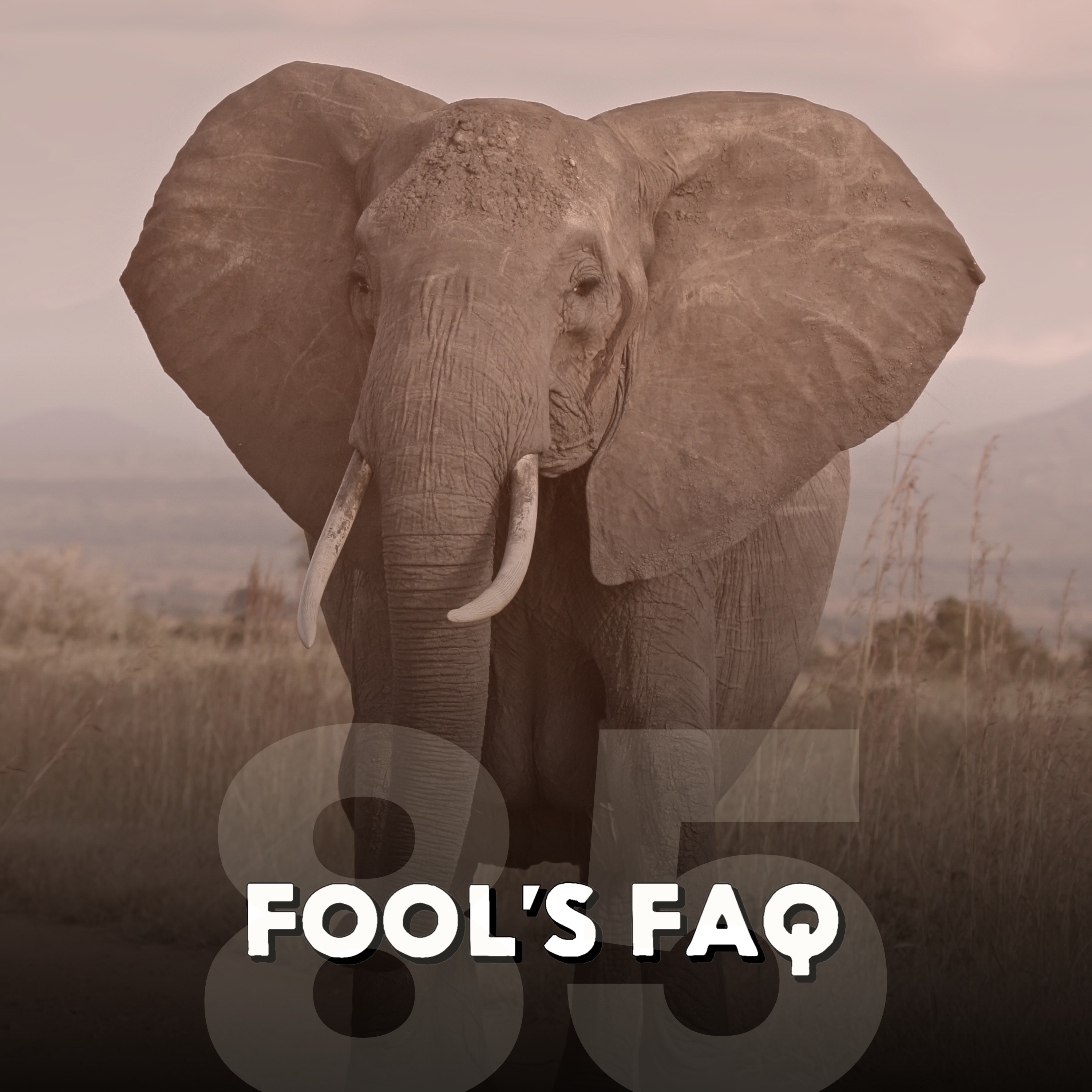 Do Animals Have Their Own Language? (Refresher) episode artwork