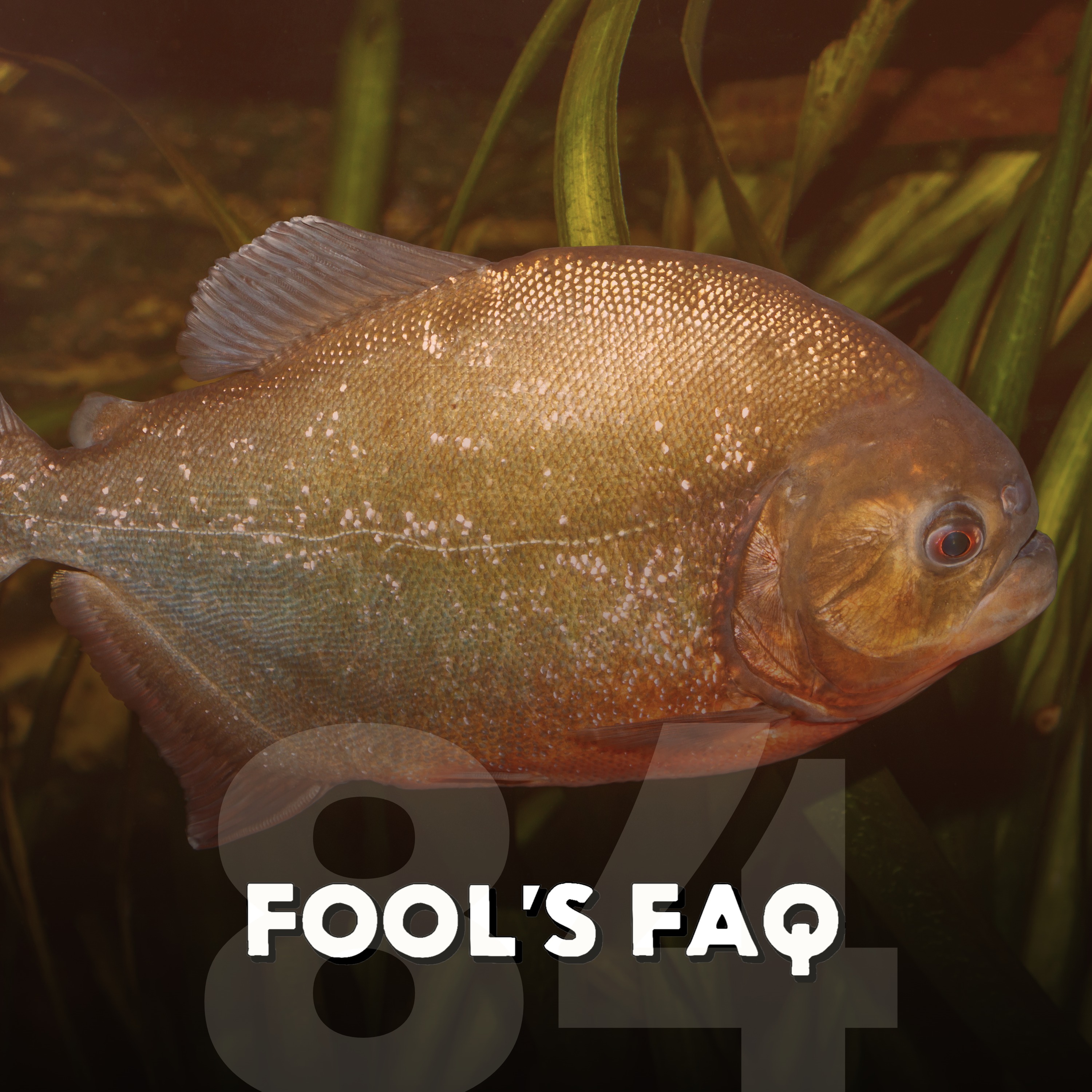 Are Piranhas Actually Ruthless Human Flesh Eaters? episode artwork
