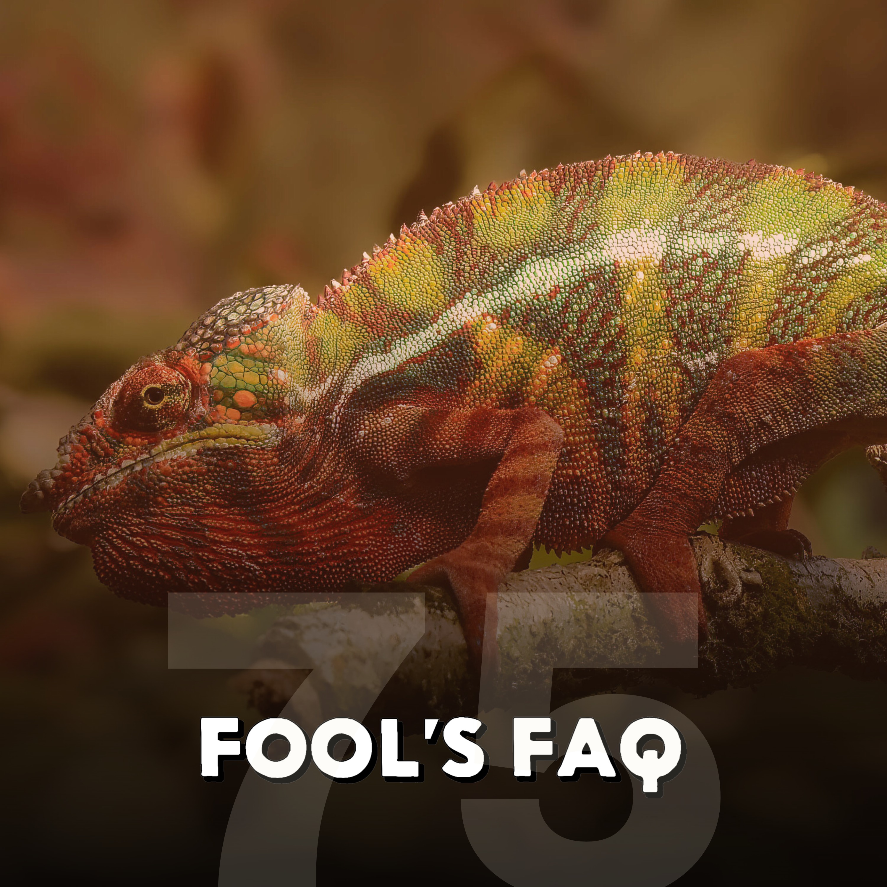 How Does Animal Camouflage Actually Work? episode artwork