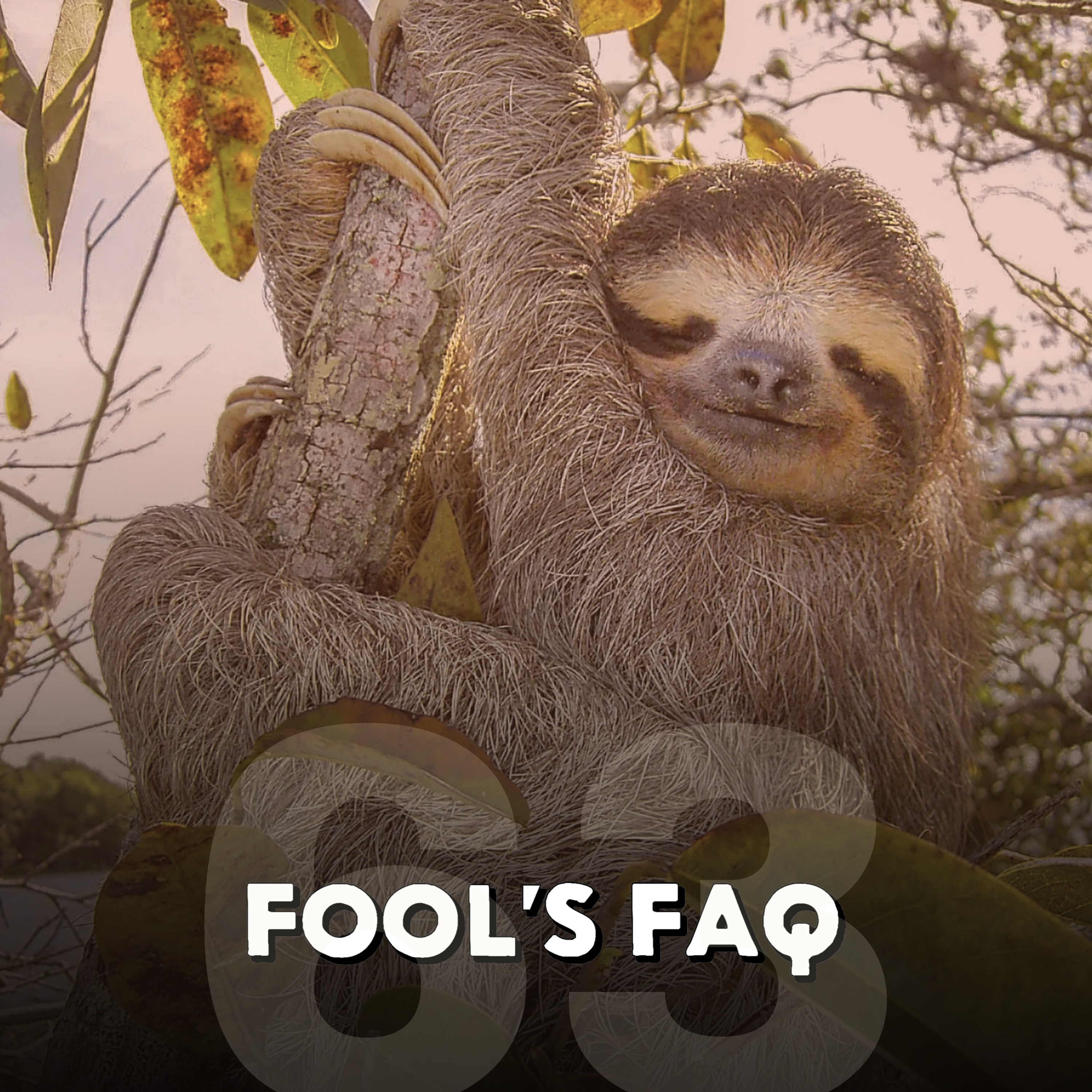What Are the Slowest Animals in the World? Part 1 episode artwork