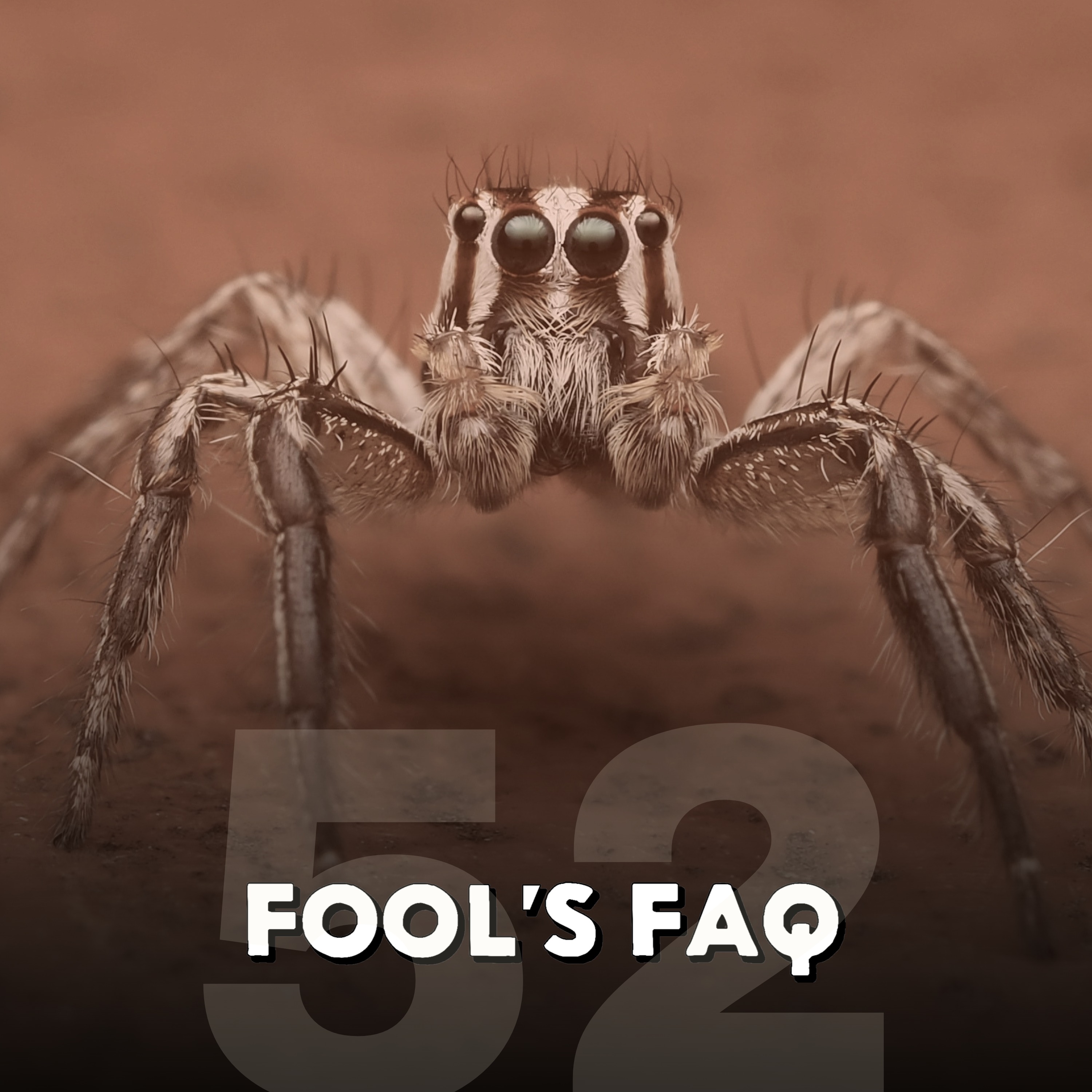 Do We Actually Swallow Spiders In Our Sleep? episode artwork