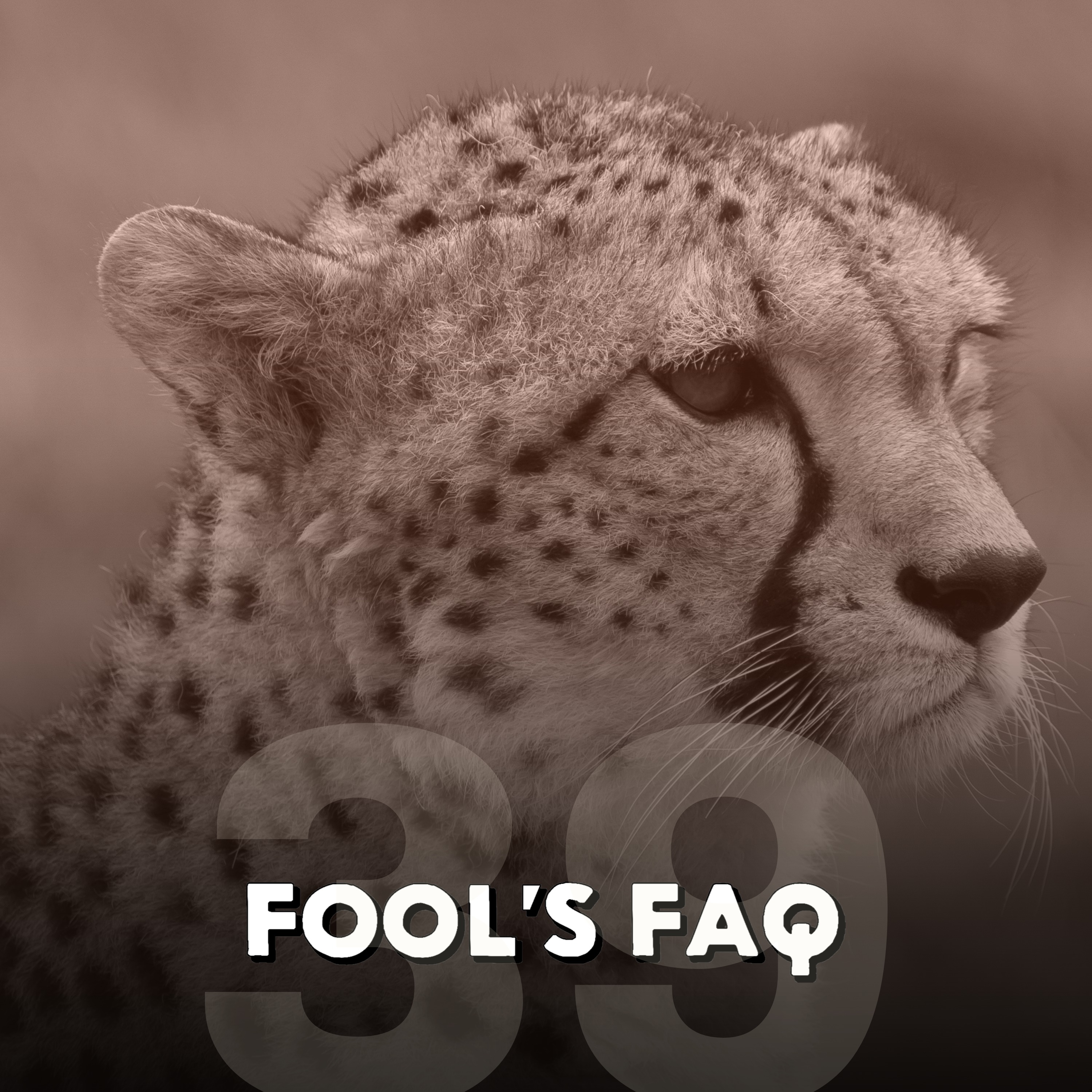 What Are the Fastest Animals in the World? Part 1 episode artwork