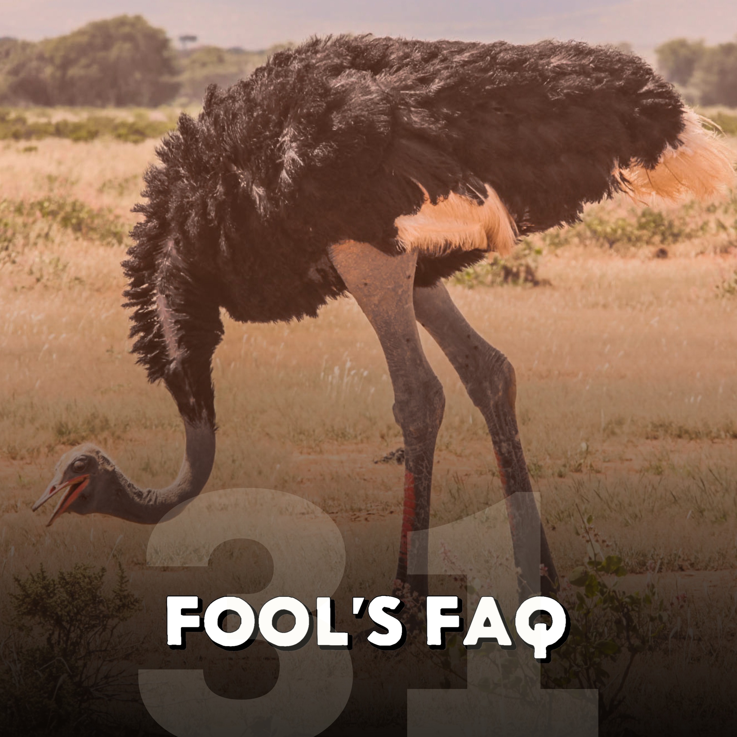 Do Ostriches Actually Bury Their Heads In The Sand? episode artwork