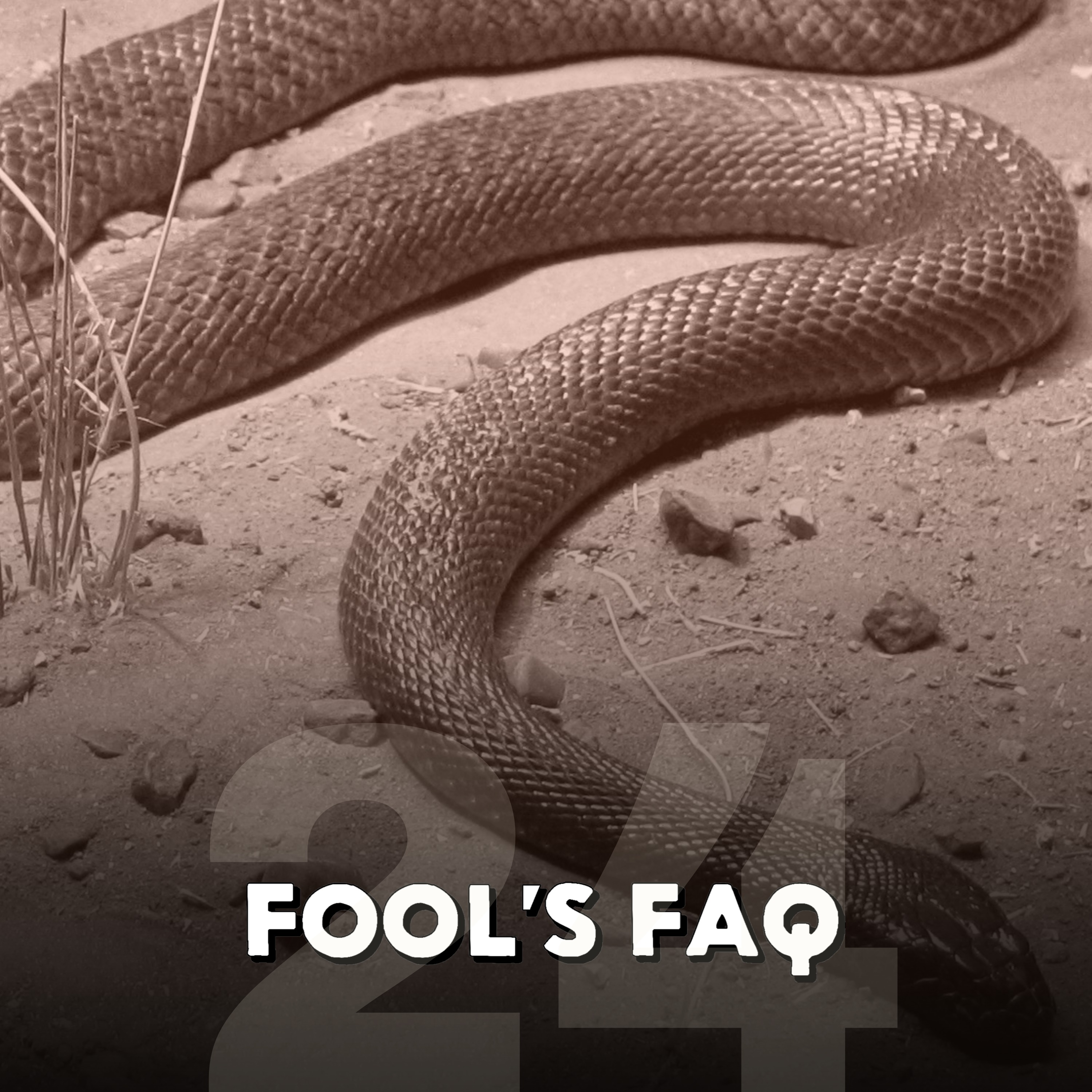What Are the Most Venomous Animals in the World? Part 1 episode artwork