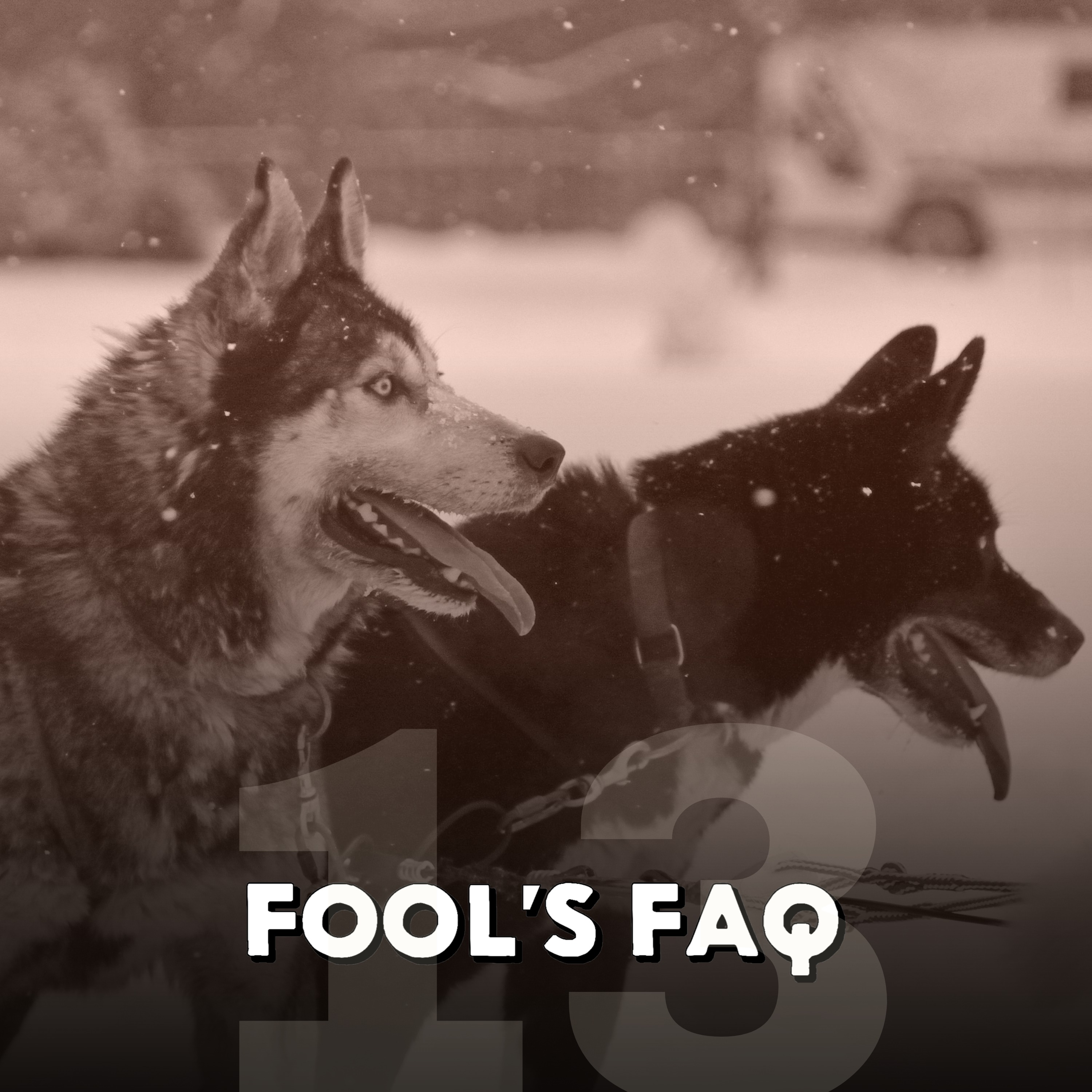 Do Animals Have Their Own Language? episode artwork