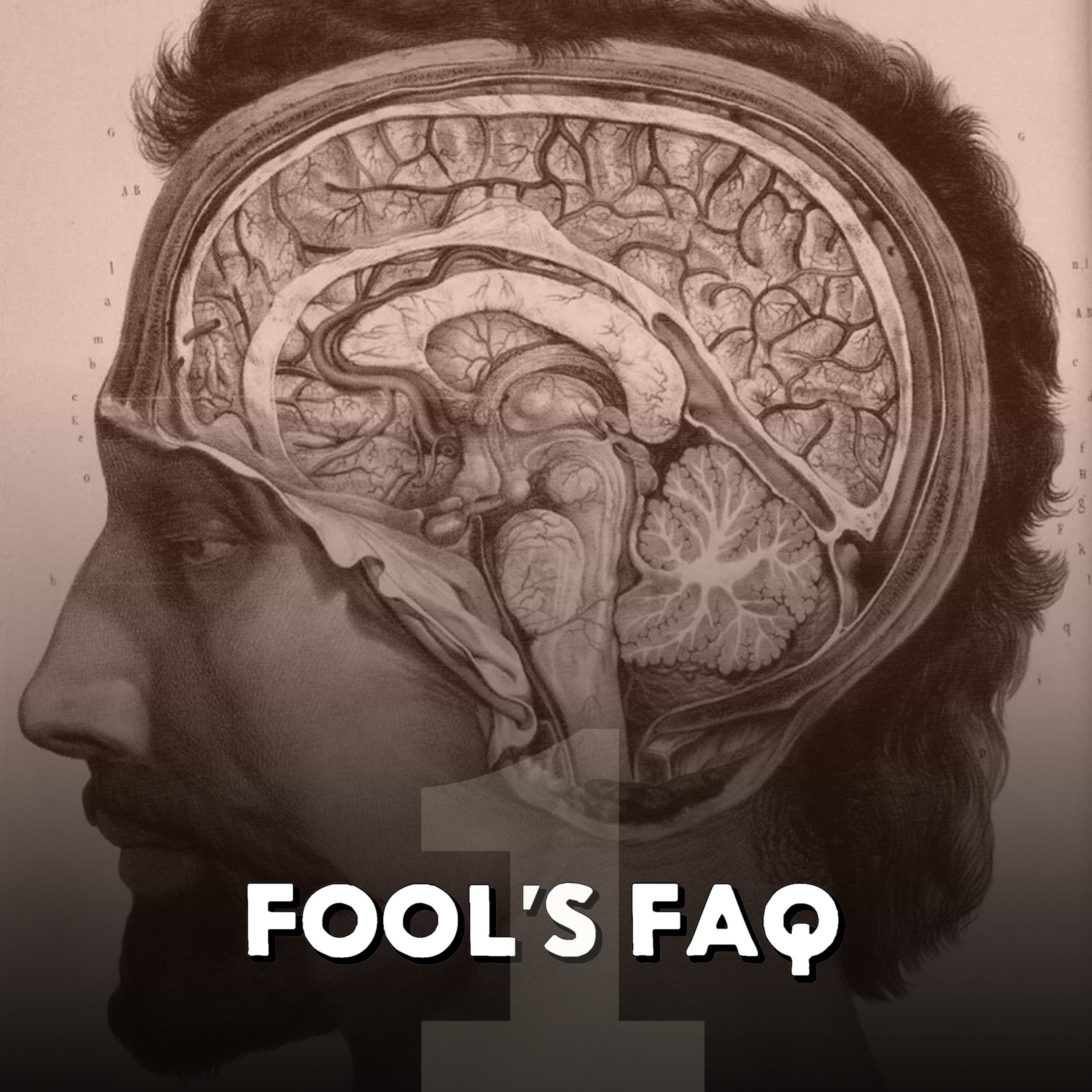 Do We Really Only Use 10% of Our Brains? episode artwork