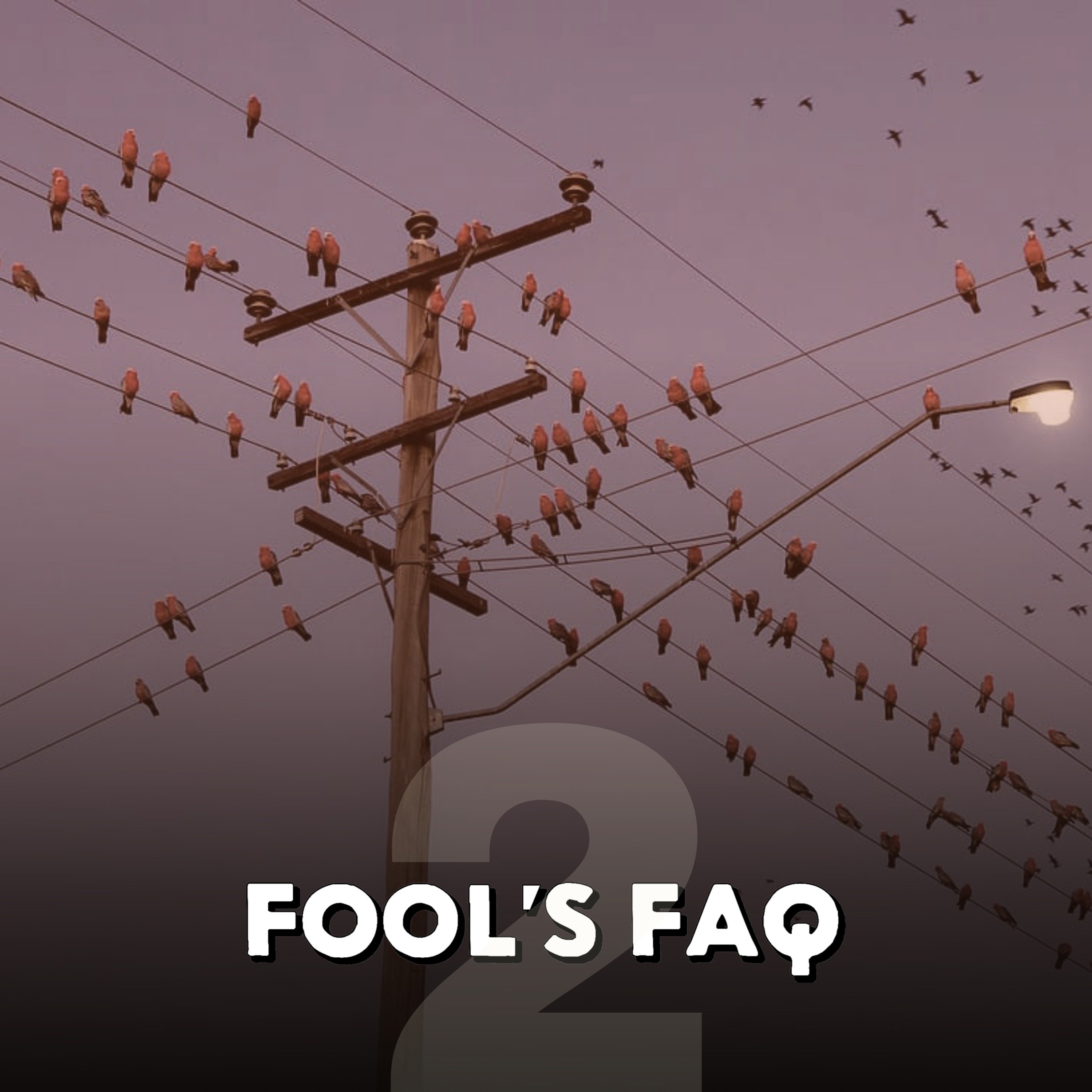 Why Don't Birds Get Electrocuted on Power Lines? episode artwork