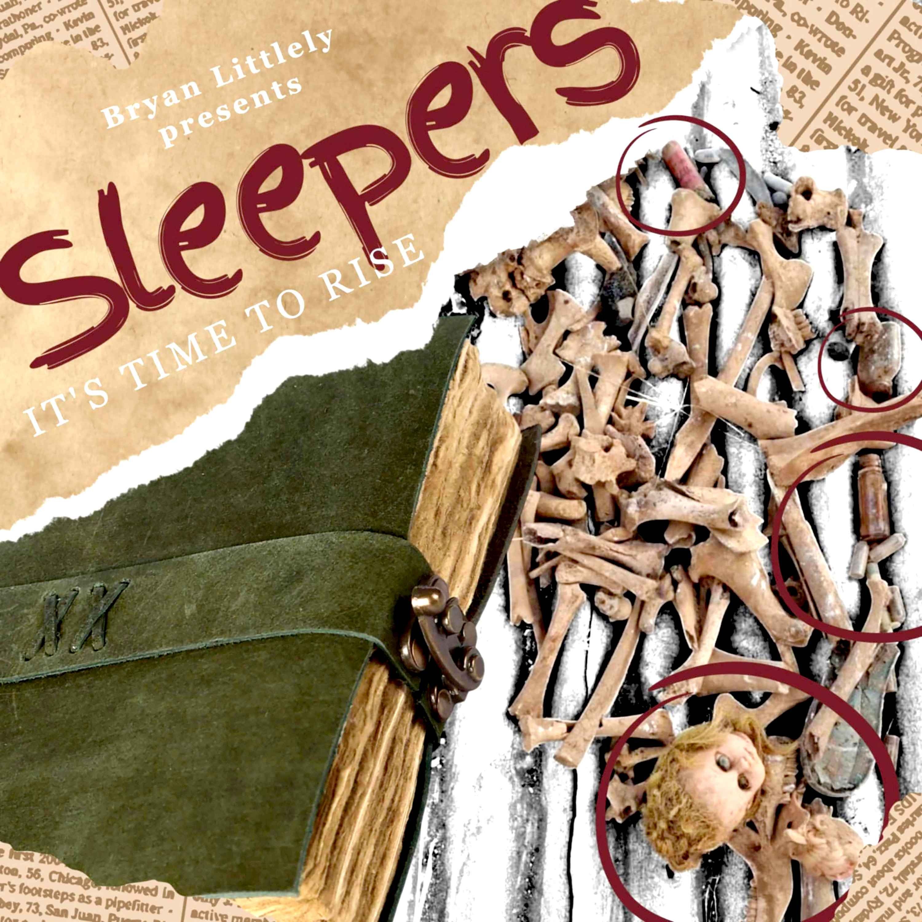 sleepers